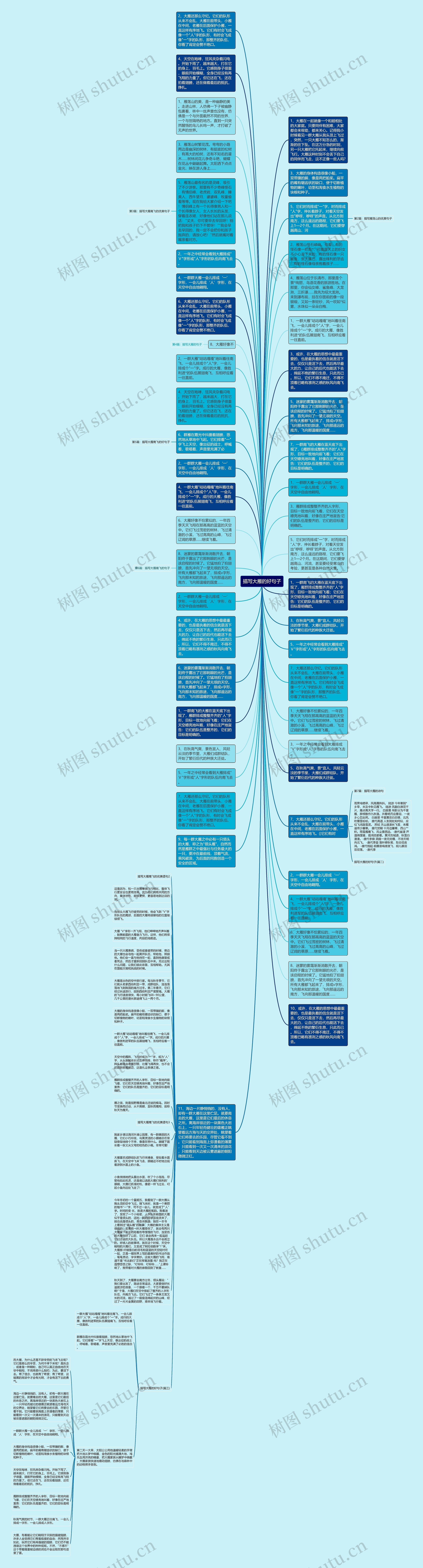 描写大雁的好句子思维导图