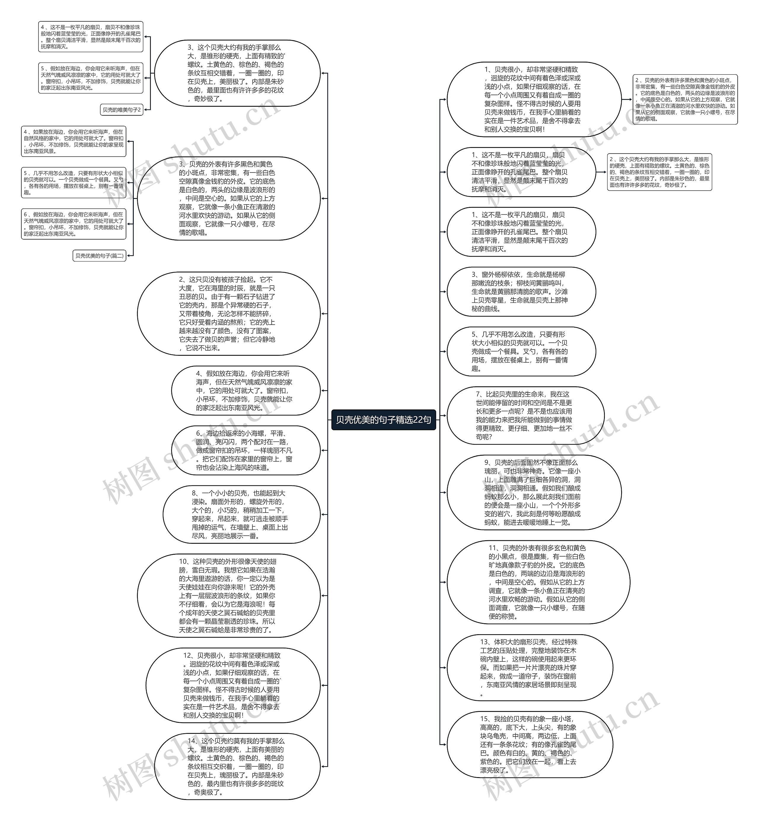贝壳优美的句子精选22句思维导图