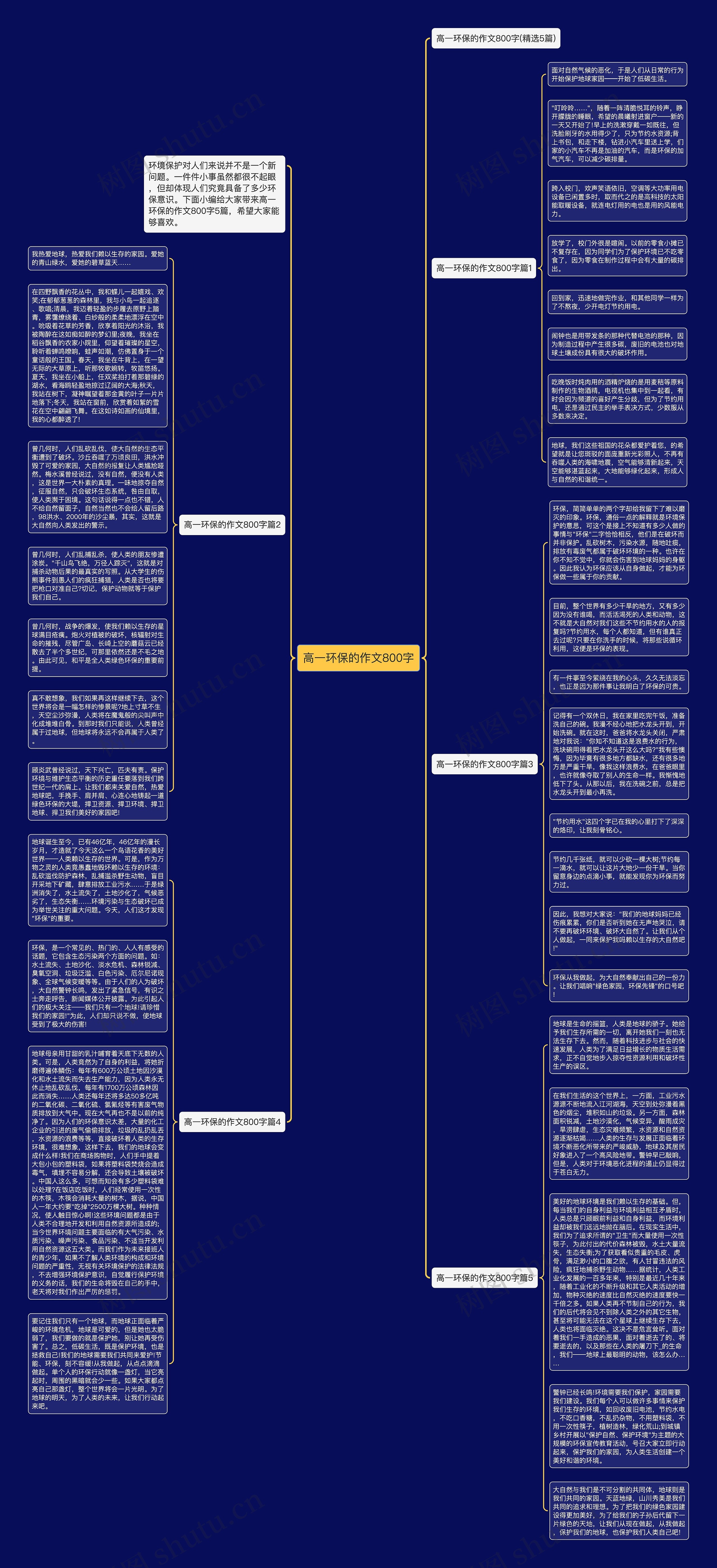高一环保的作文800字思维导图
