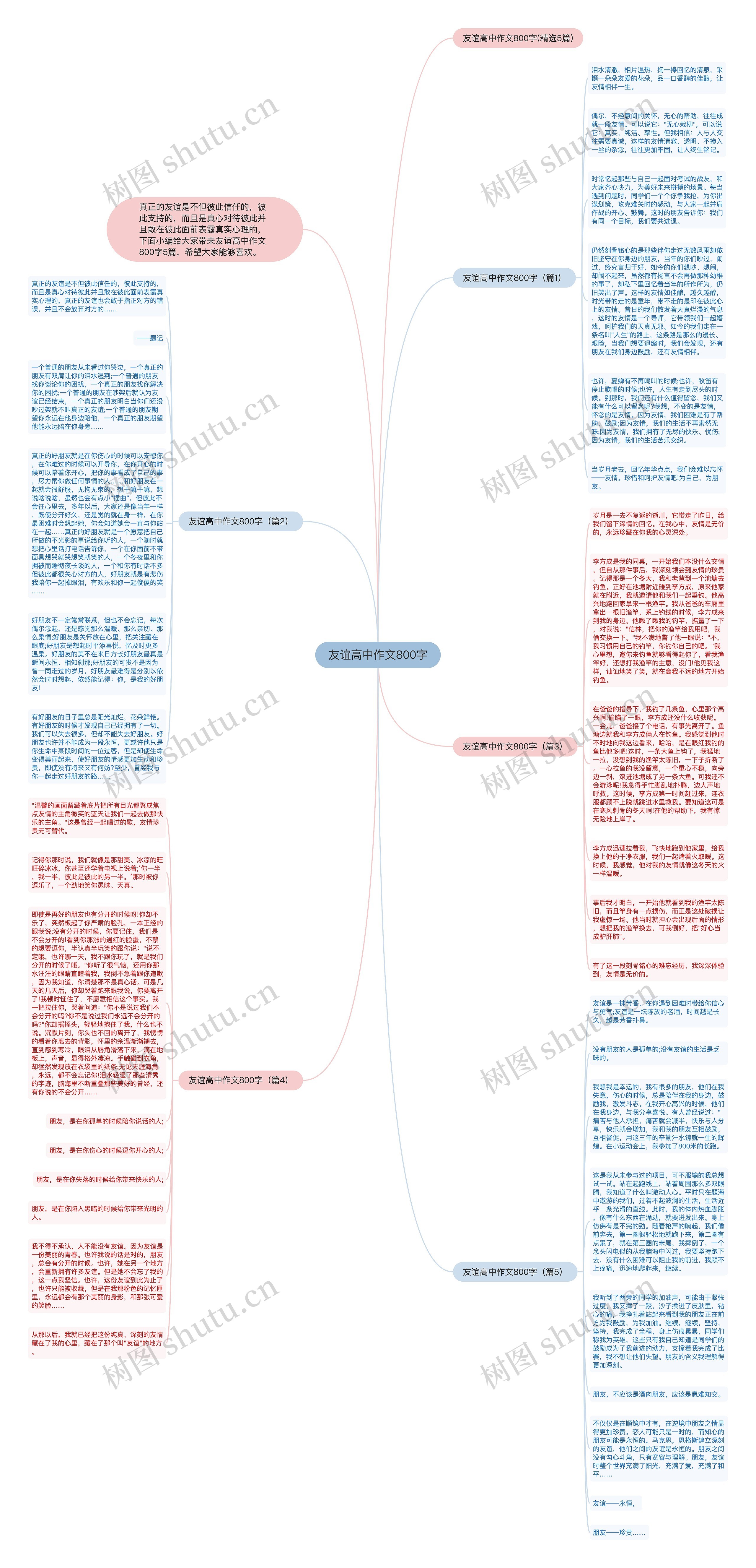 友谊高中作文800字思维导图