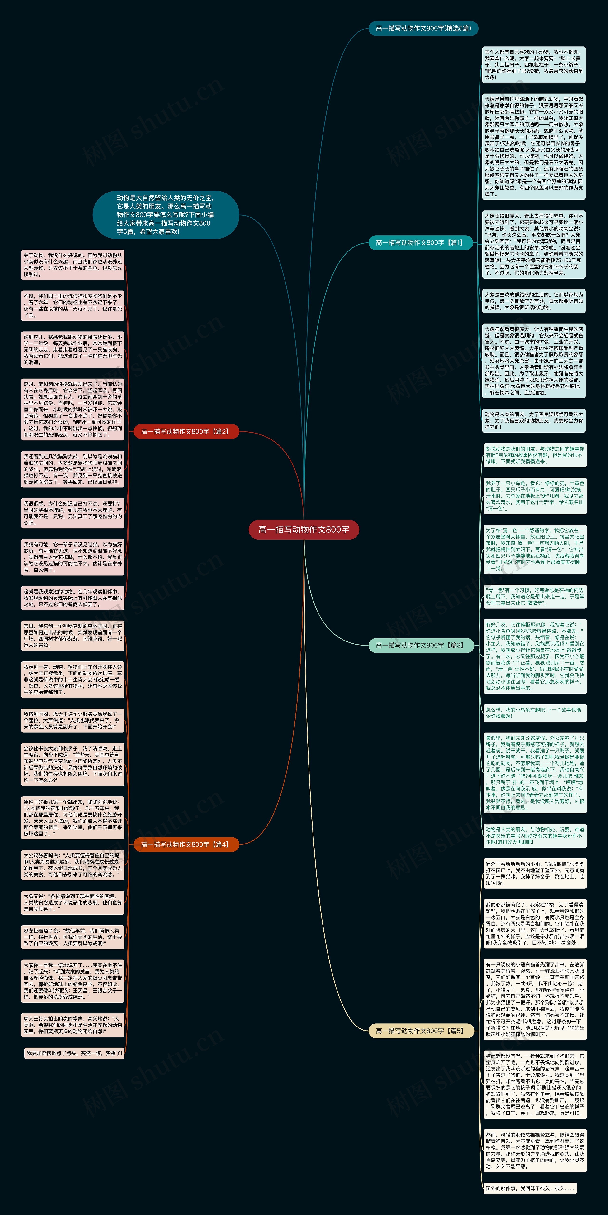 高一描写动物作文800字思维导图