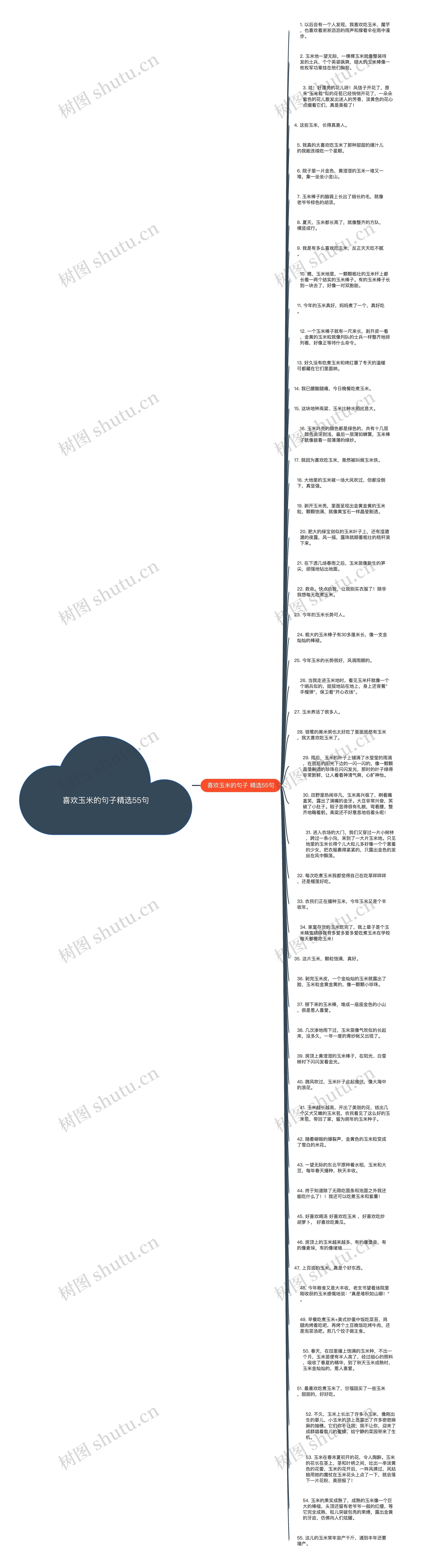 喜欢玉米的句子精选55句思维导图