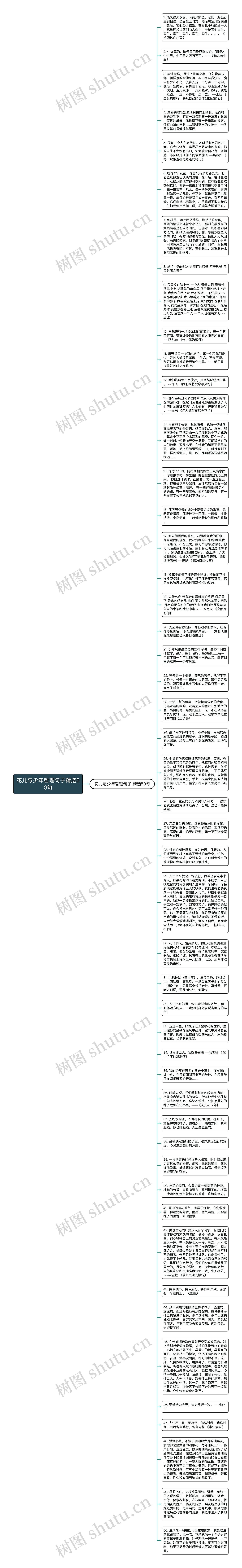 花儿与少年哲理句子精选50句