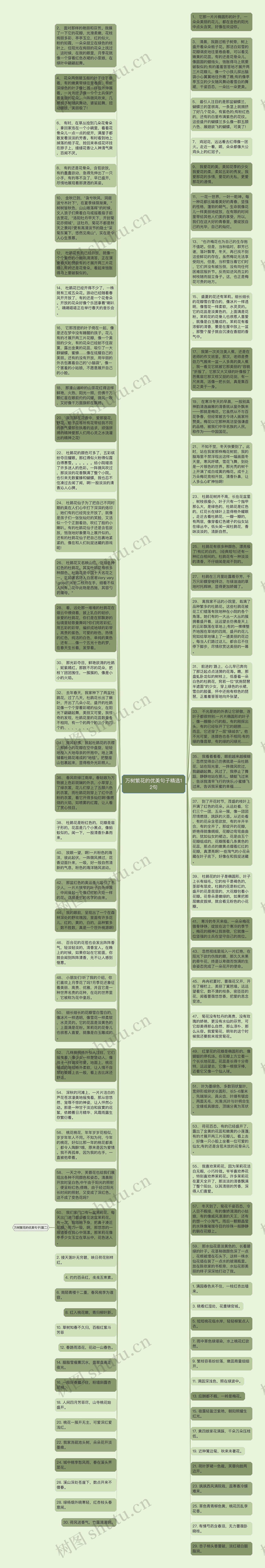 万树繁花的优美句子精选12句思维导图