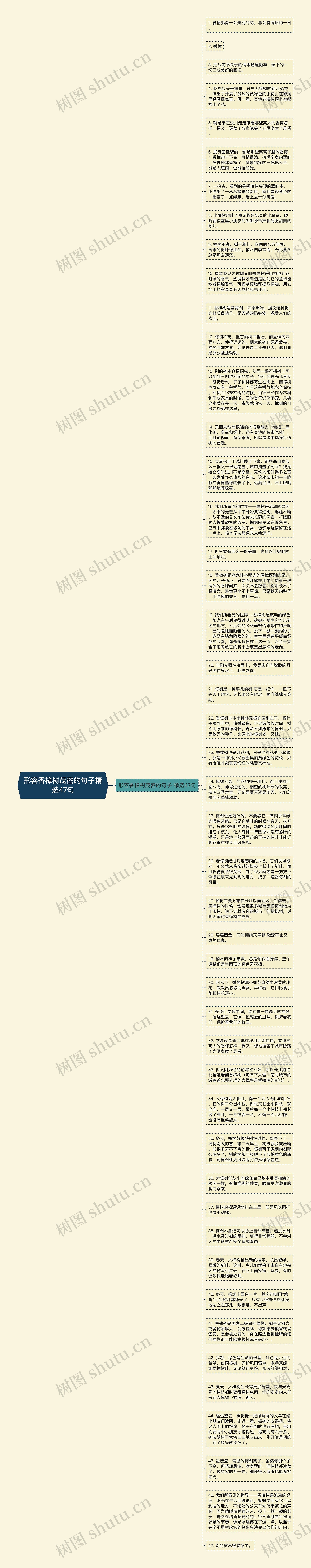 形容香樟树茂密的句子精选47句思维导图