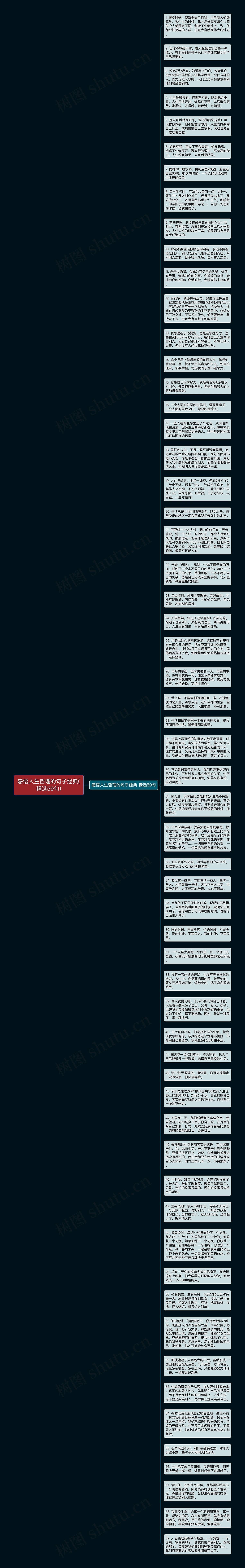 感悟人生哲理的句子经典(精选59句)思维导图