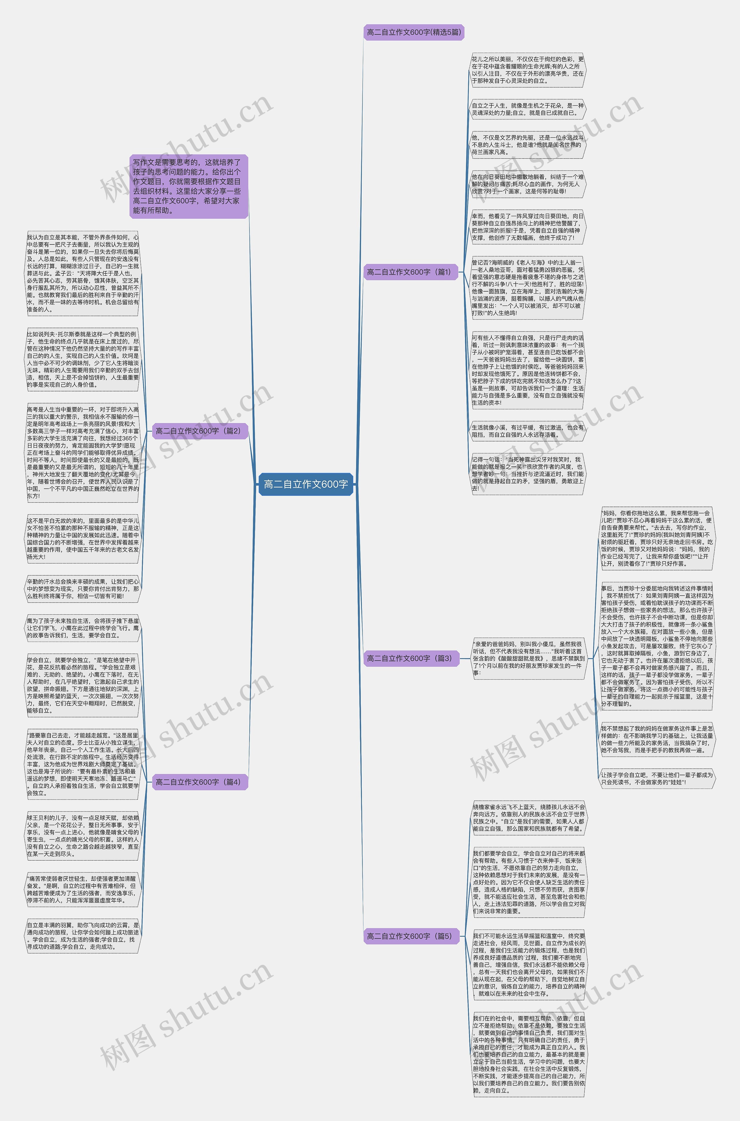 高二自立作文600字思维导图