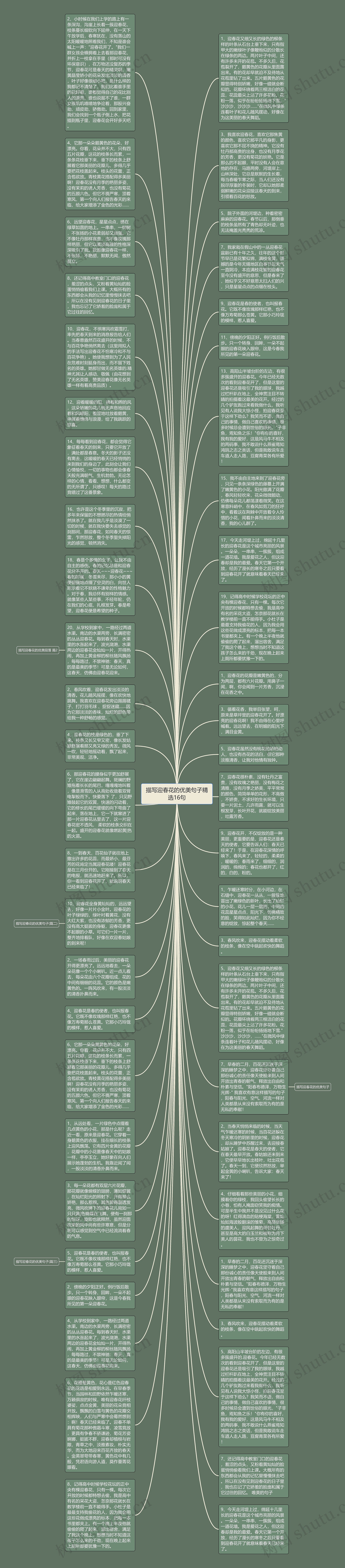 描写迎春花的优美句子精选16句思维导图