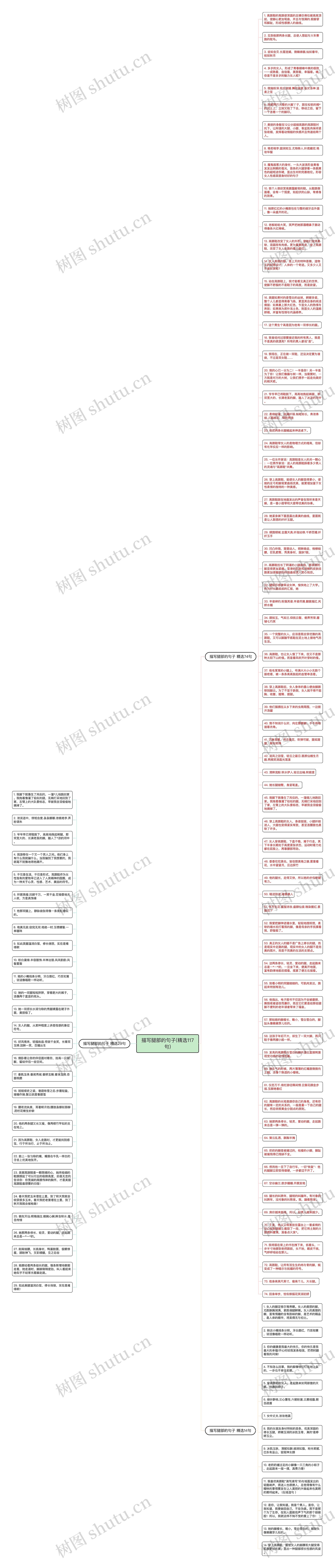 描写腿部的句子(精选117句)思维导图