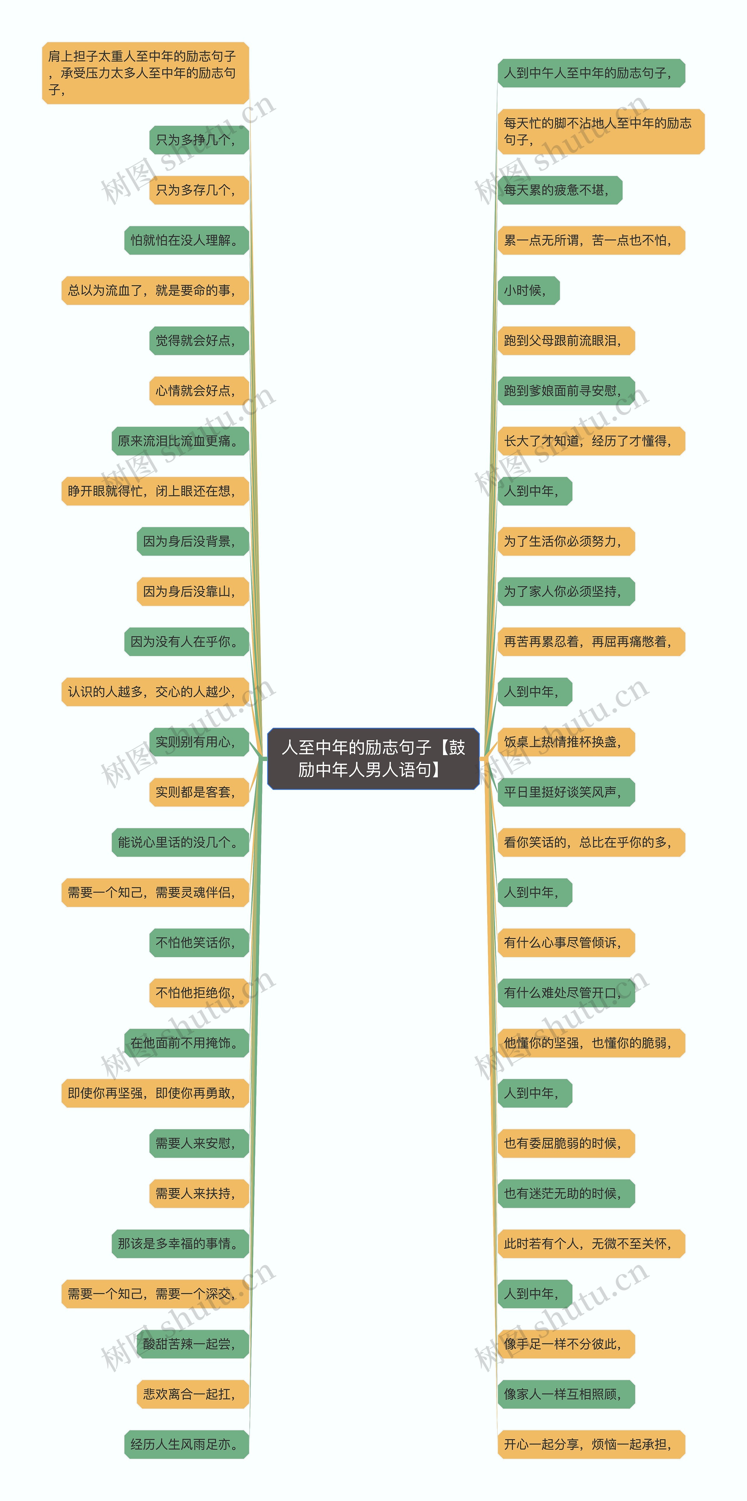 人至中年的励志句子【鼓励中年人男人语句】思维导图