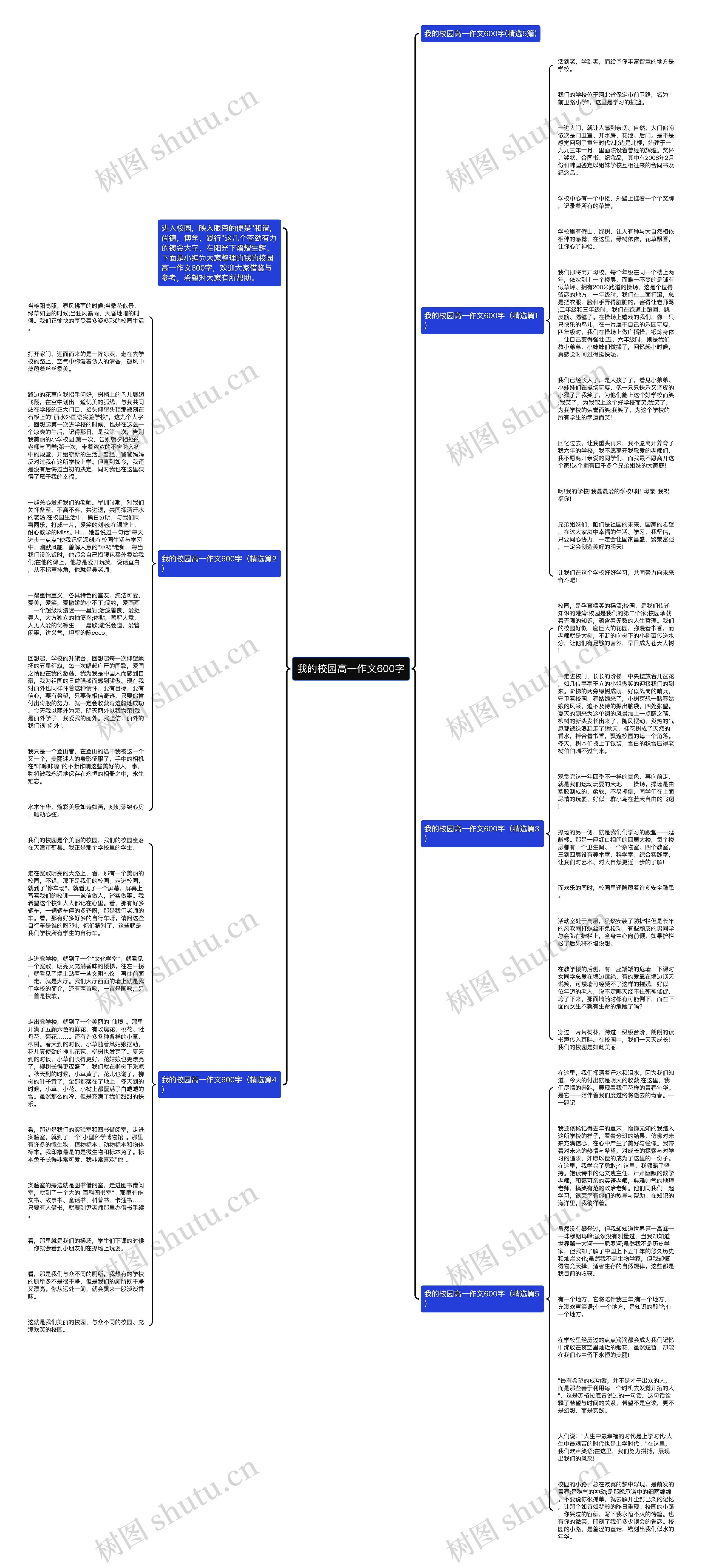我的校园高一作文600字思维导图