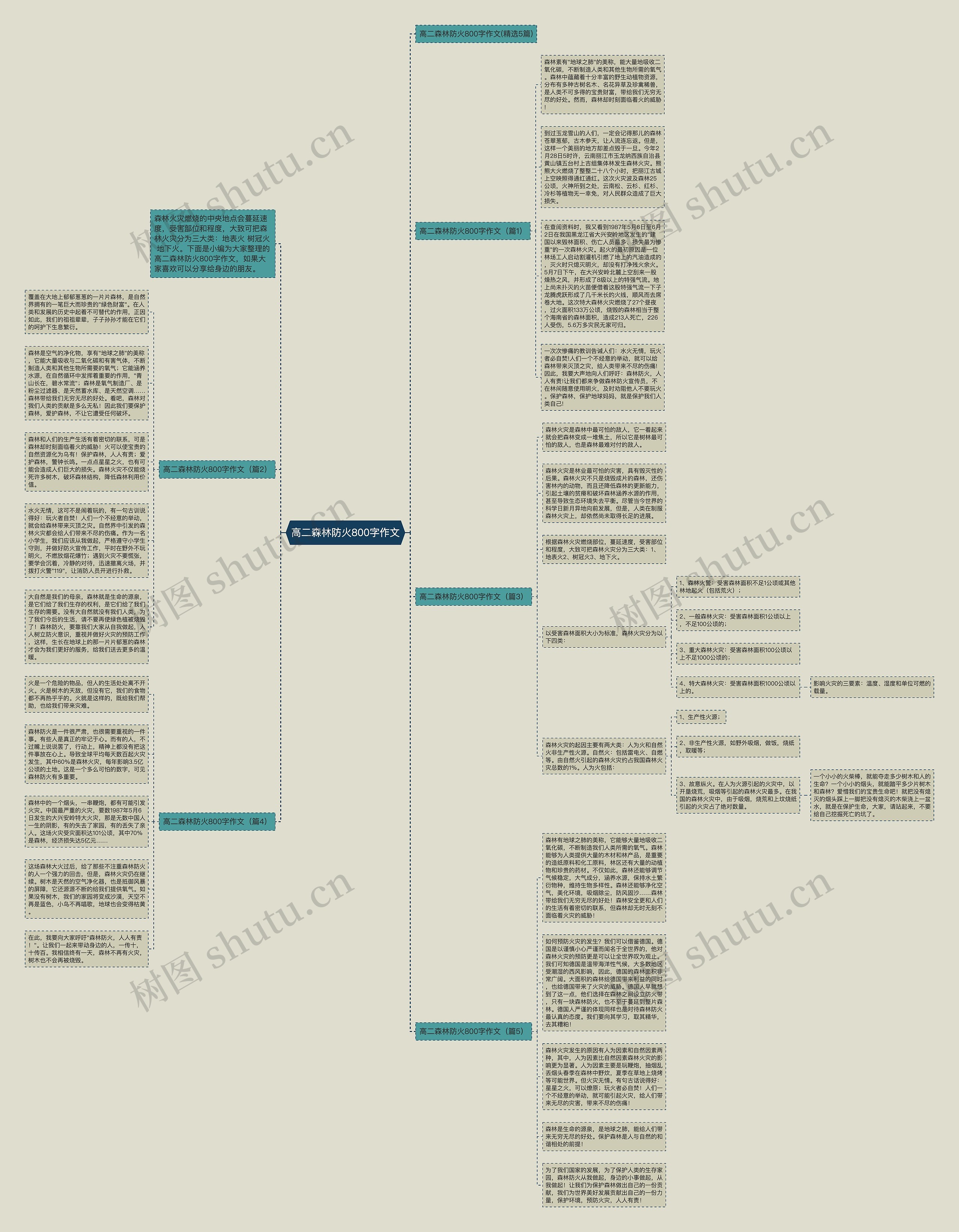 高二森林防火800字作文思维导图