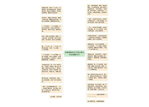 知道感恩的句子(努力奋斗的正能量句子)