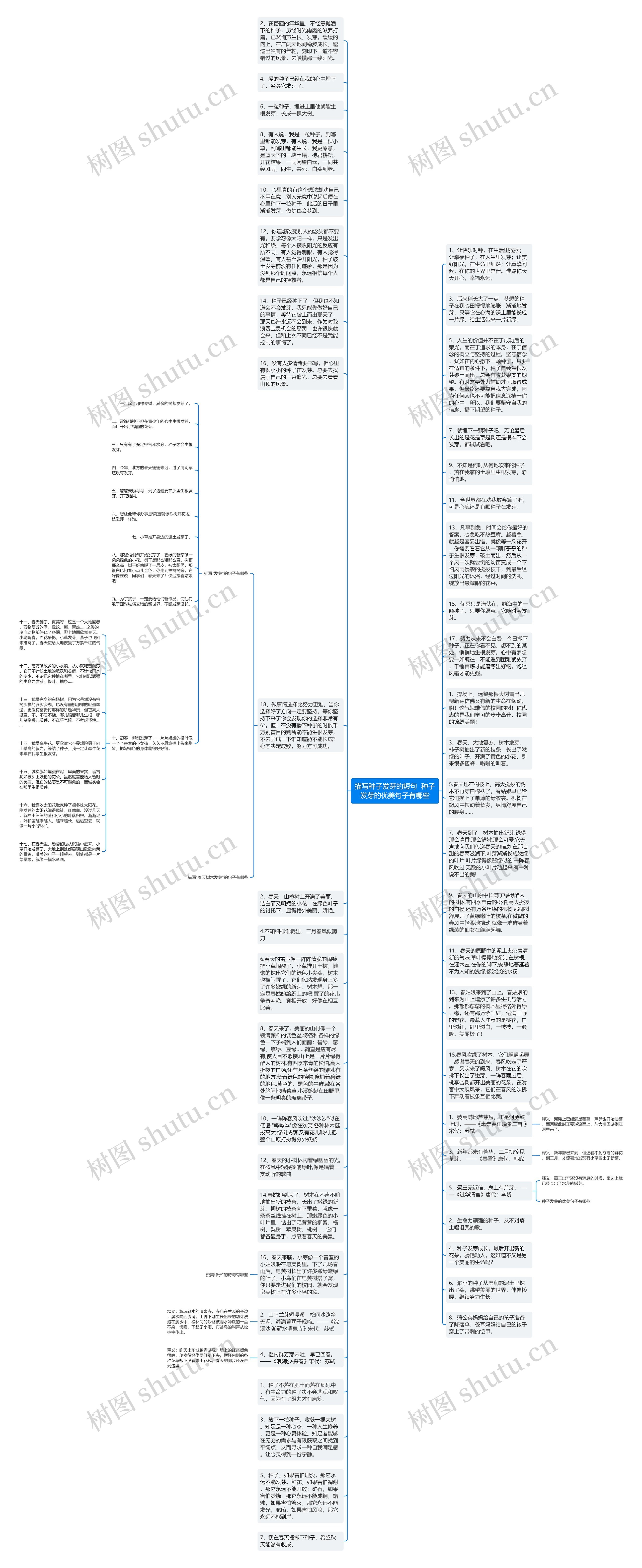 描写种子发芽的短句  种子发芽的优美句子有哪些思维导图