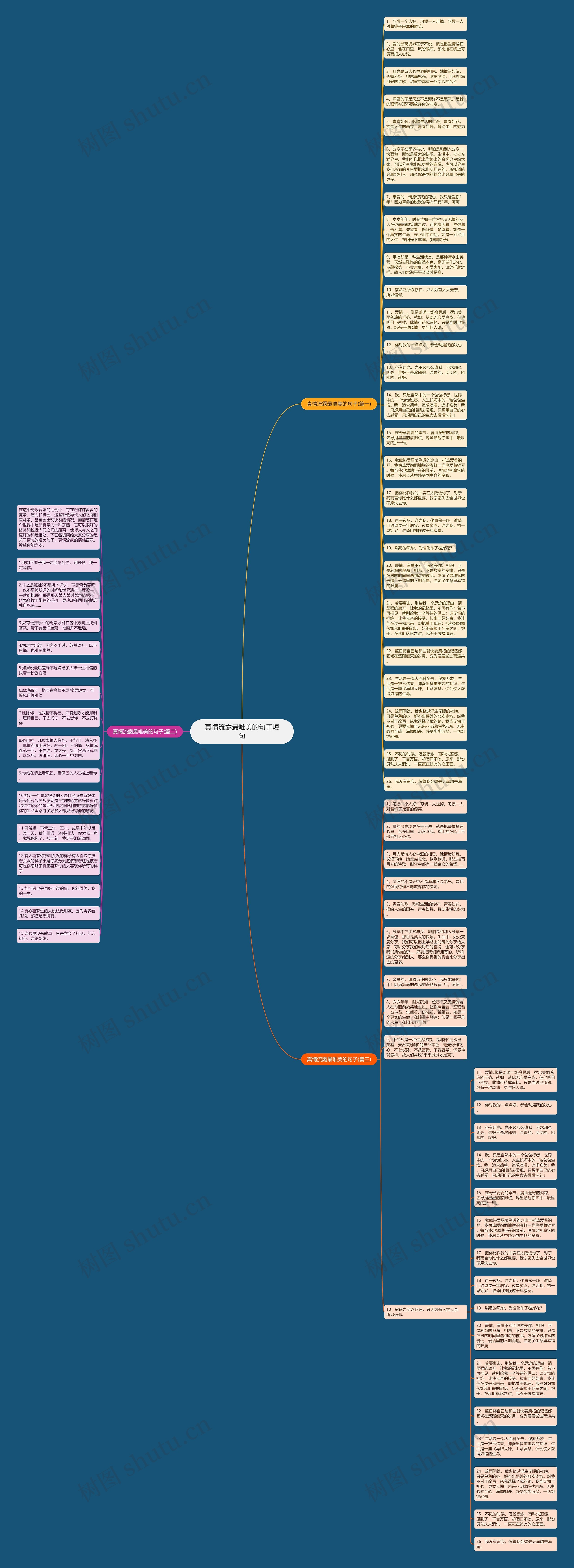 真情流露最唯美的句子短句思维导图