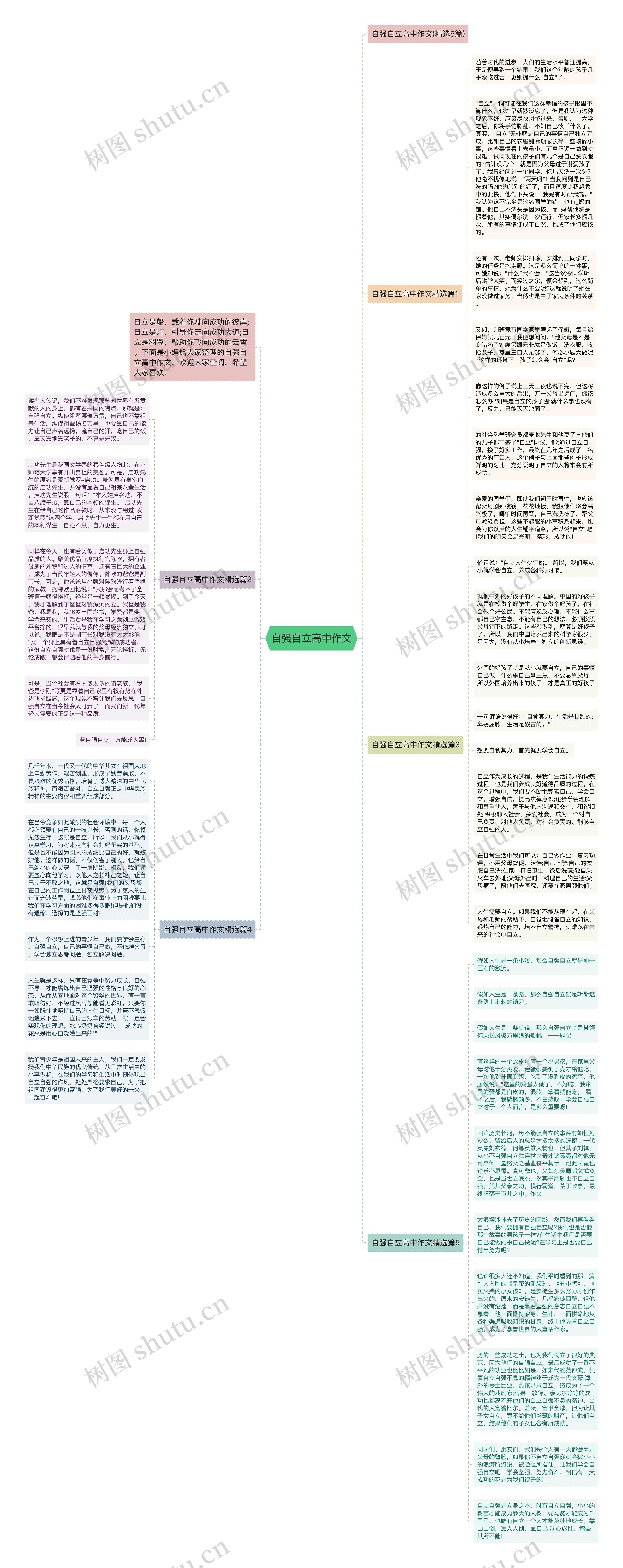 自强自立高中作文思维导图