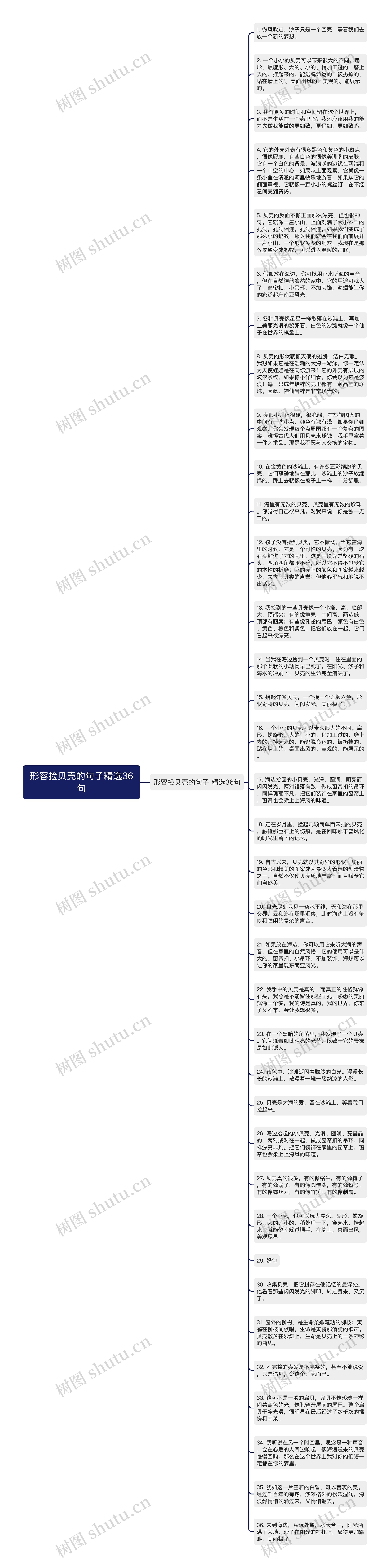 形容捡贝壳的句子精选36句思维导图