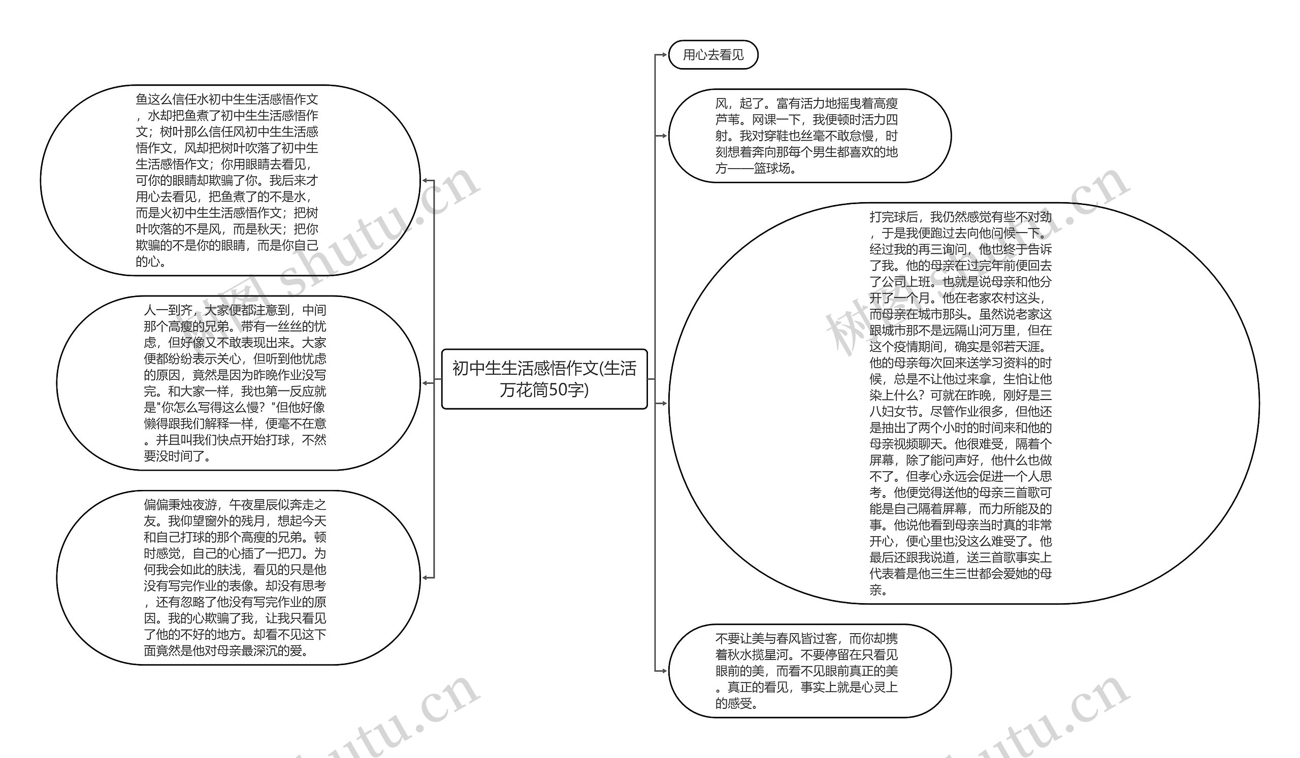 初中生生活感悟作文(生活万花筒50字)思维导图