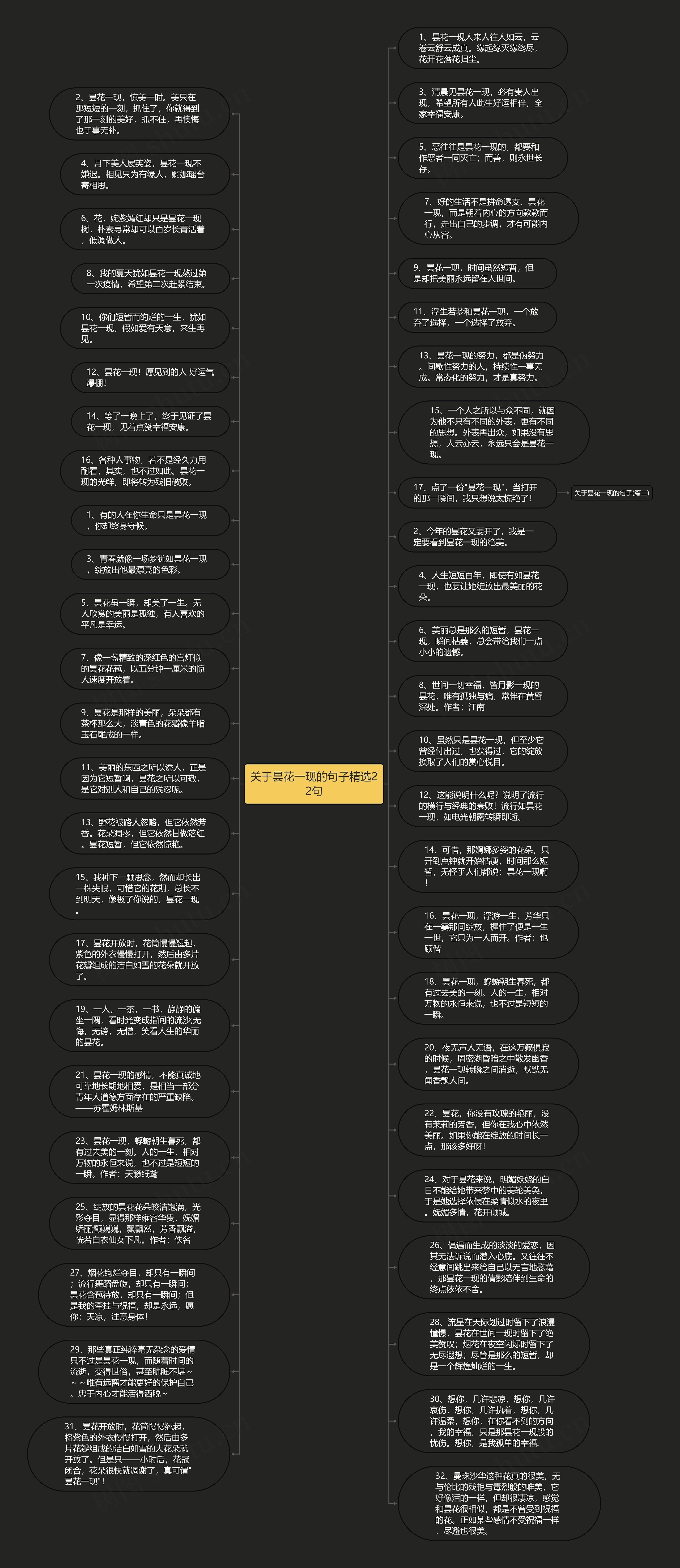 关于昙花一现的句子精选22句思维导图