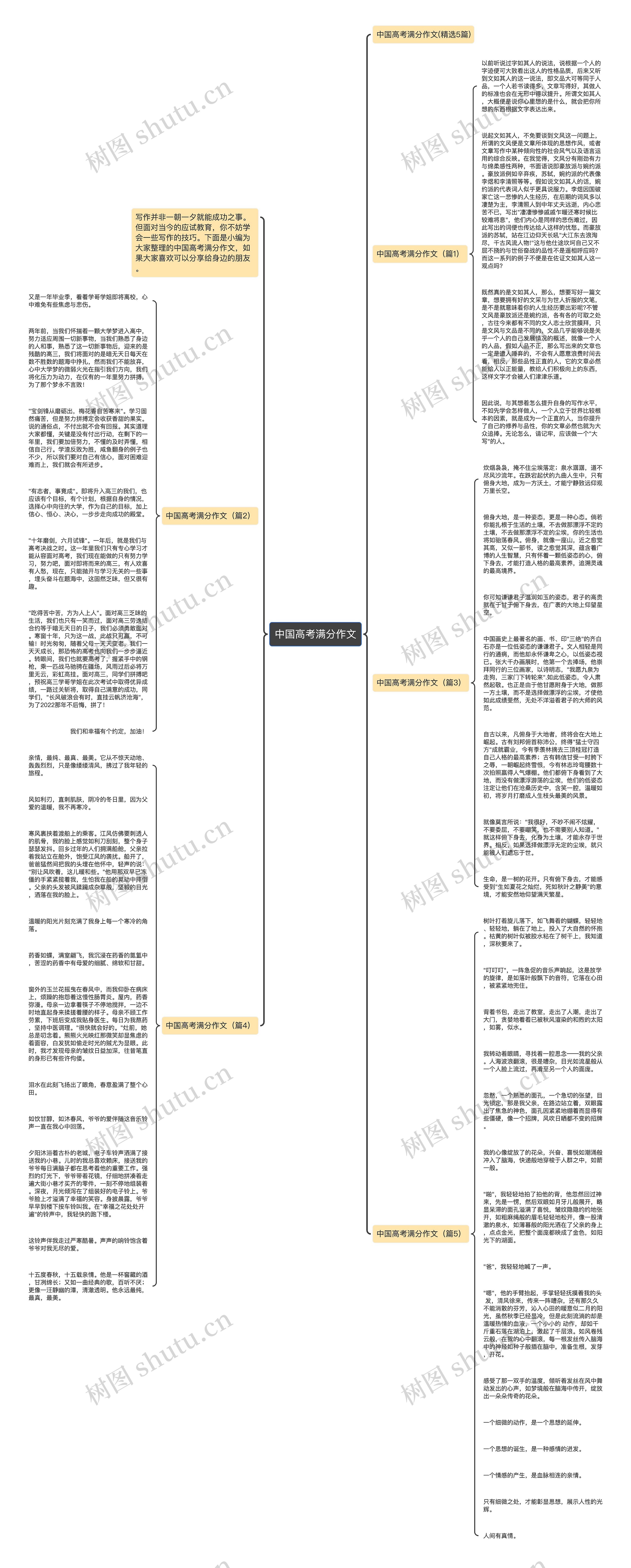 中国高考满分作文思维导图