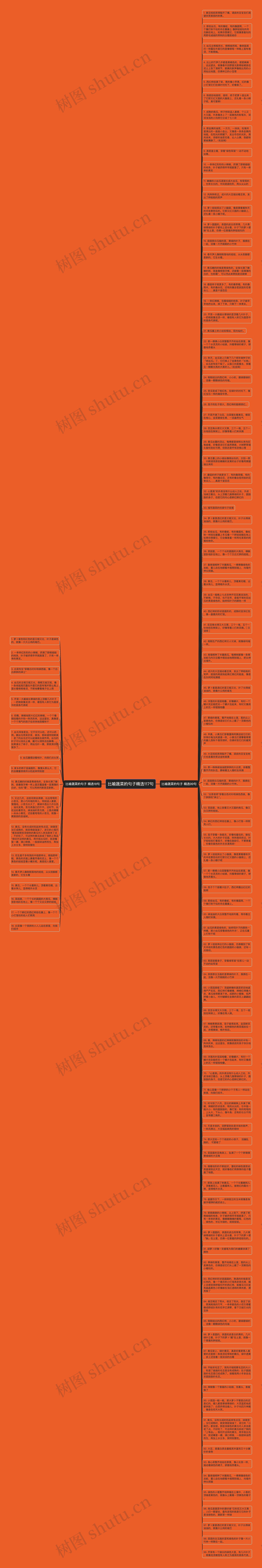 比喻蔬菜的句子精选117句思维导图