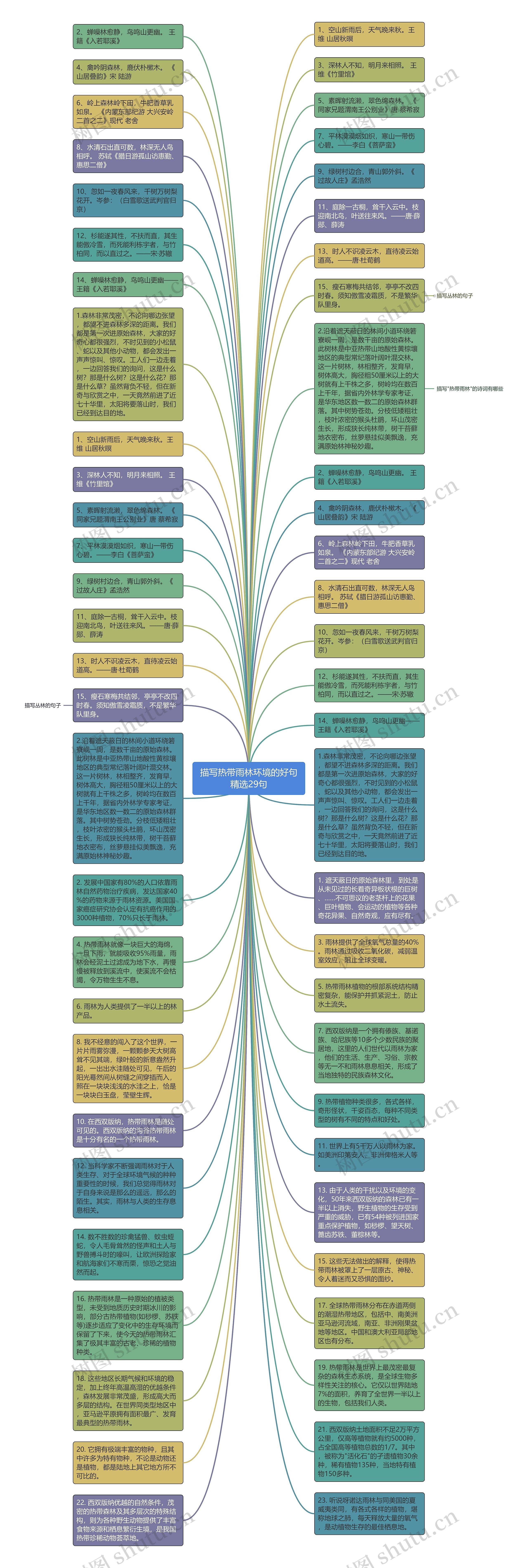 描写热带雨林环境的好句精选29句思维导图