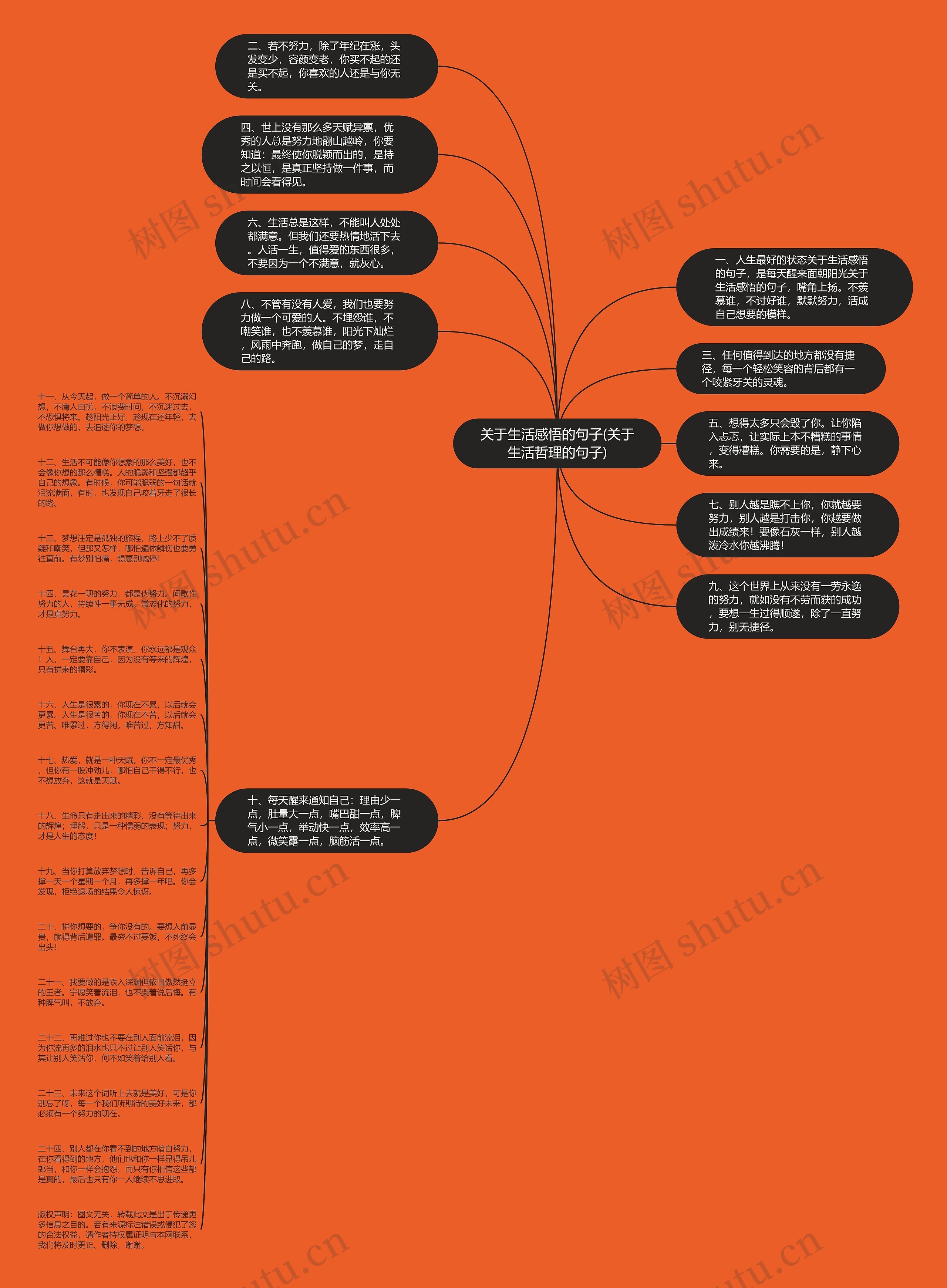 关于生活感悟的句子(关于生活哲理的句子)思维导图