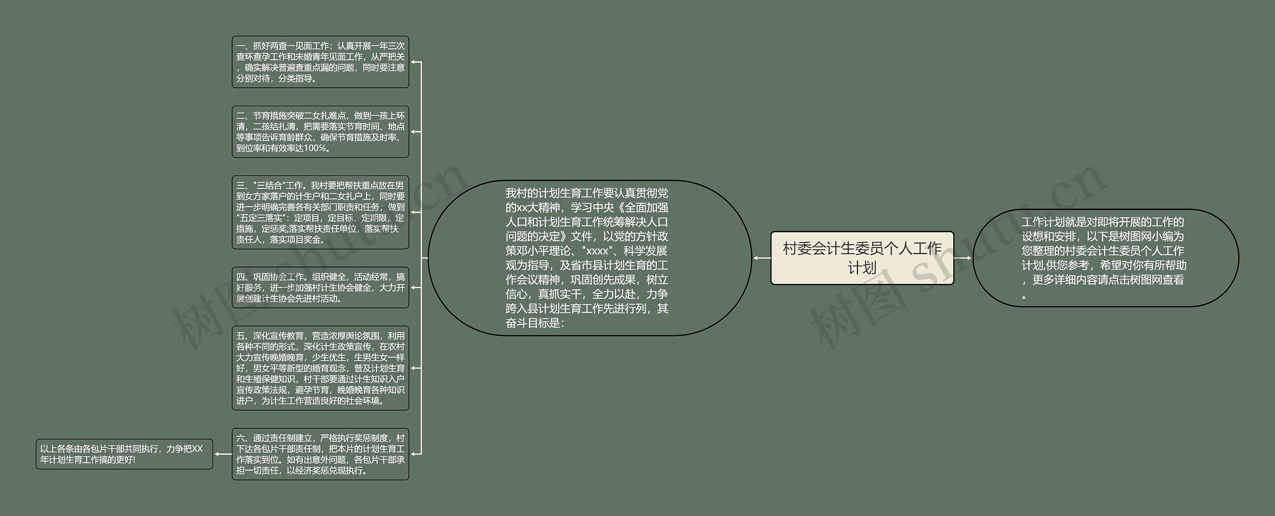 村委会计生委员个人工作计划思维导图