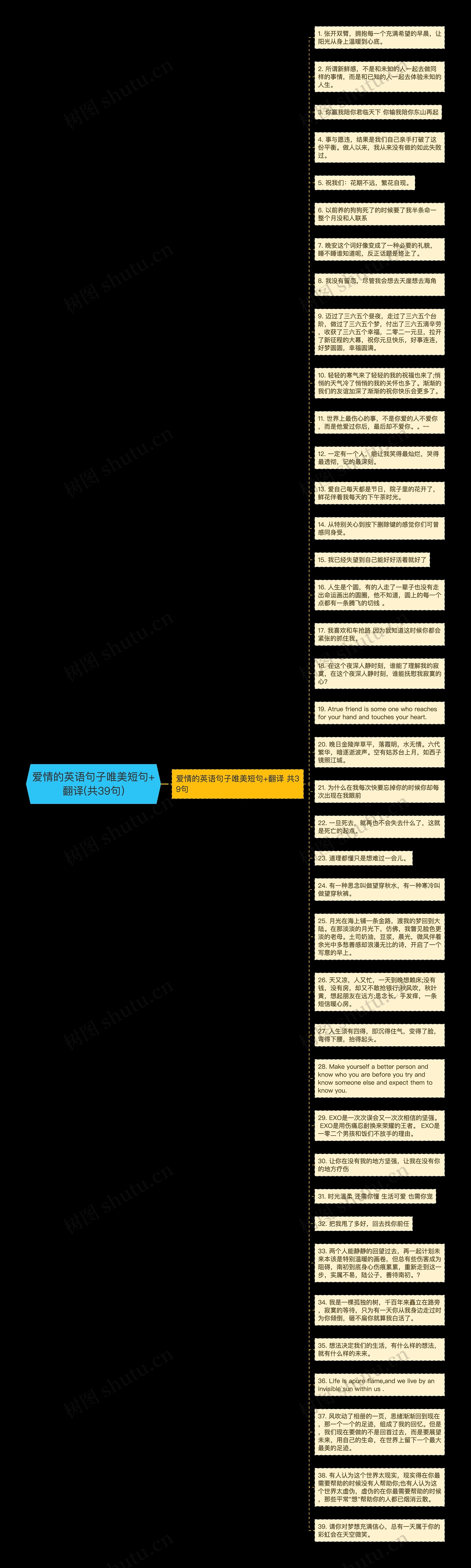 爱情的英语句子唯美短句+翻译(共39句)思维导图