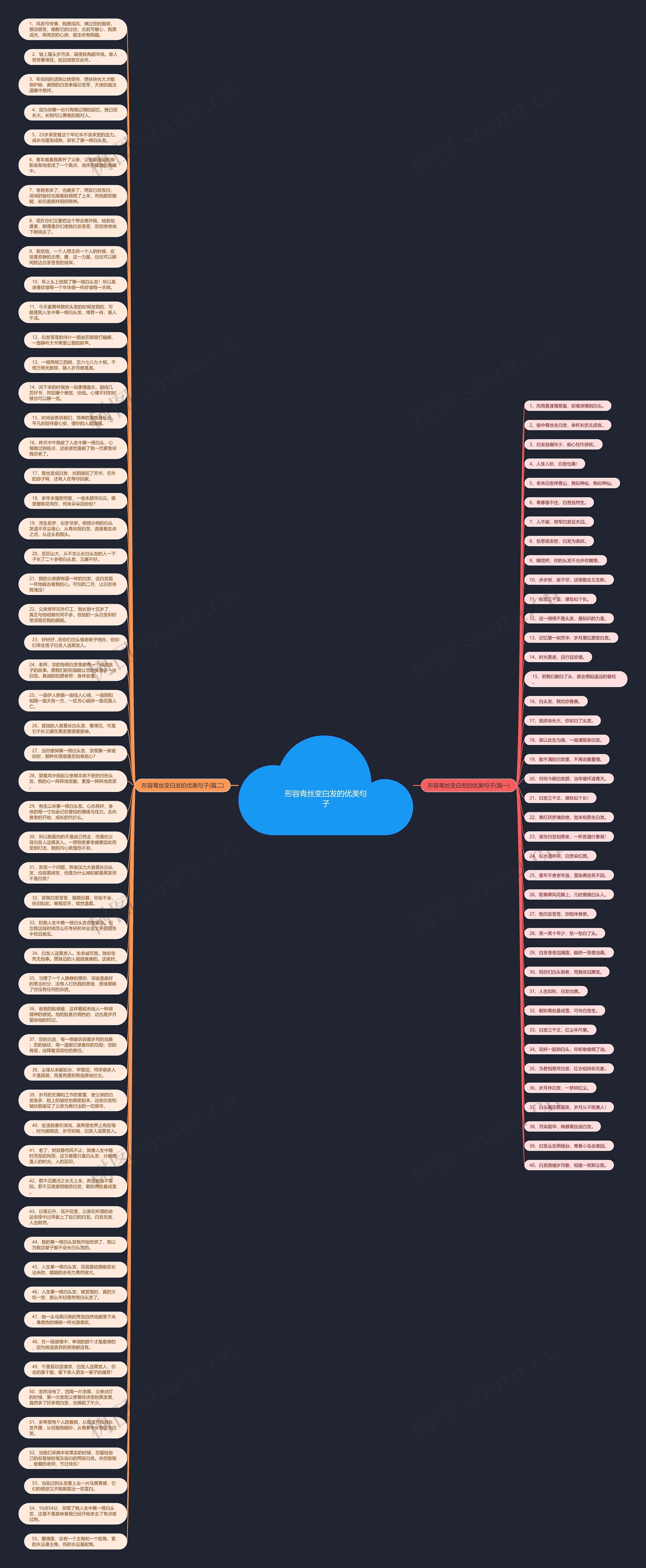 形容青丝变白发的优美句子思维导图