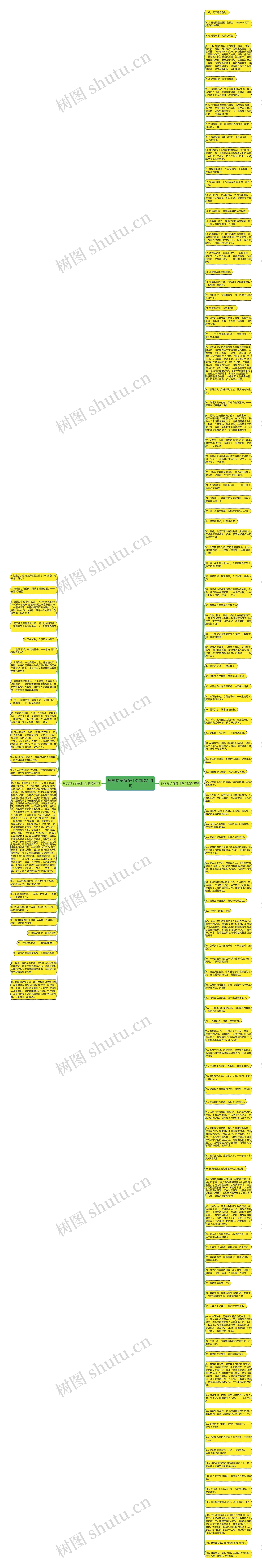 补充句子荷花什么精选129句思维导图