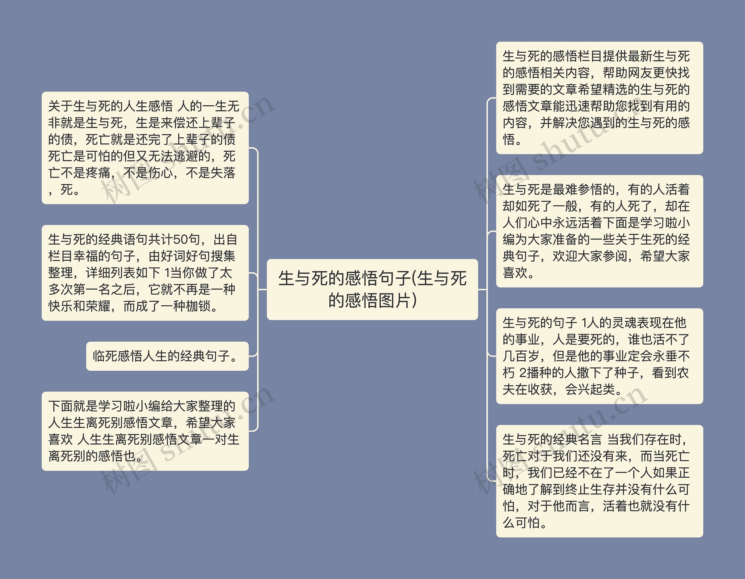 生与死的感悟句子(生与死的感悟图片)