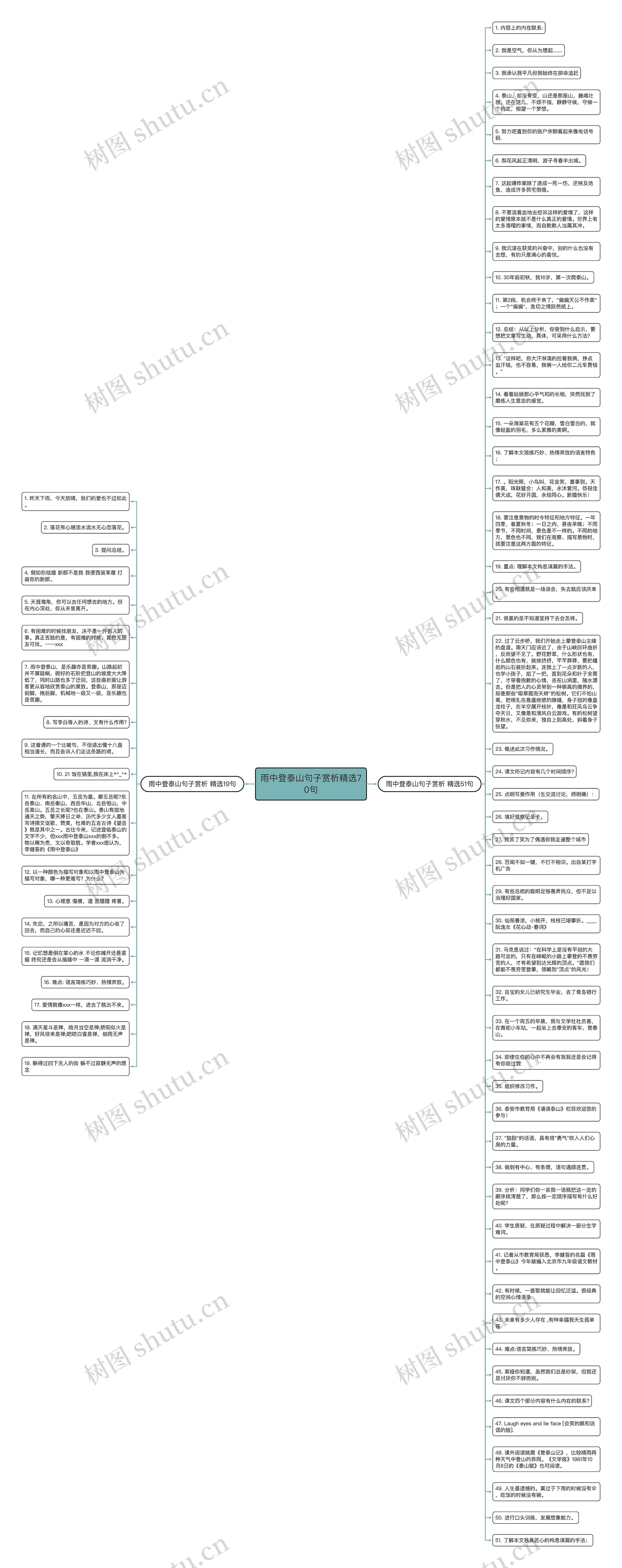 雨中登泰山句子赏析精选70句思维导图