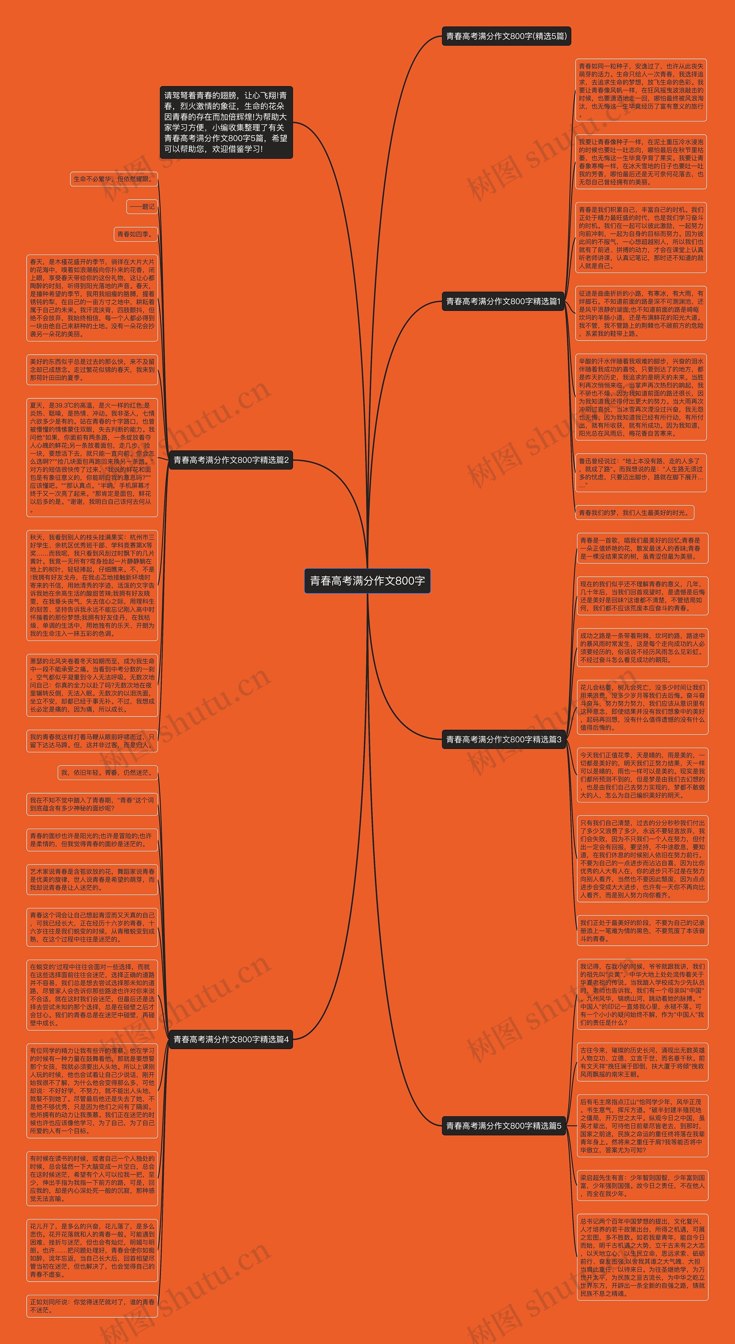 青春高考满分作文800字思维导图