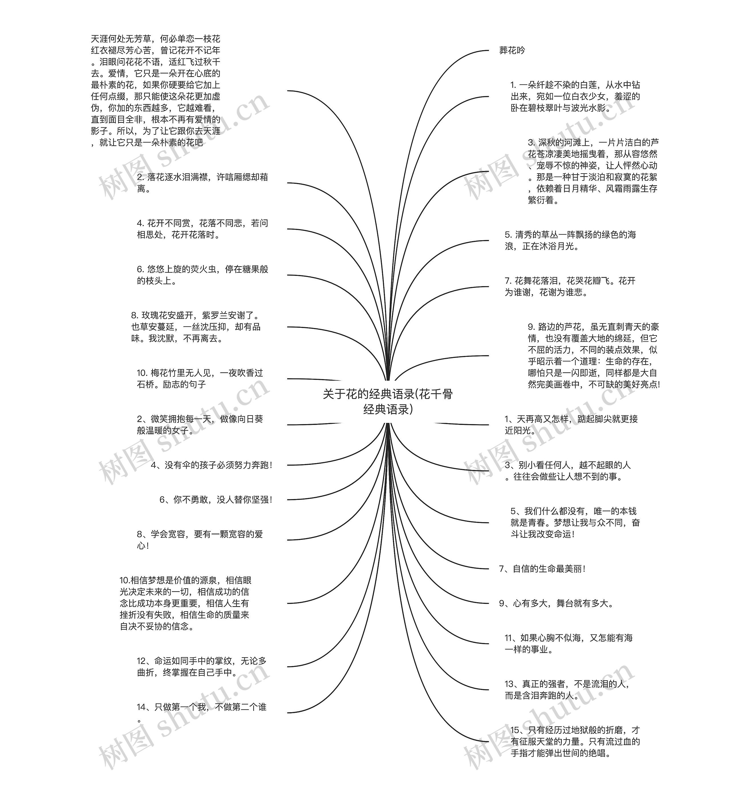 关于花的经典语录(花千骨经典语录)