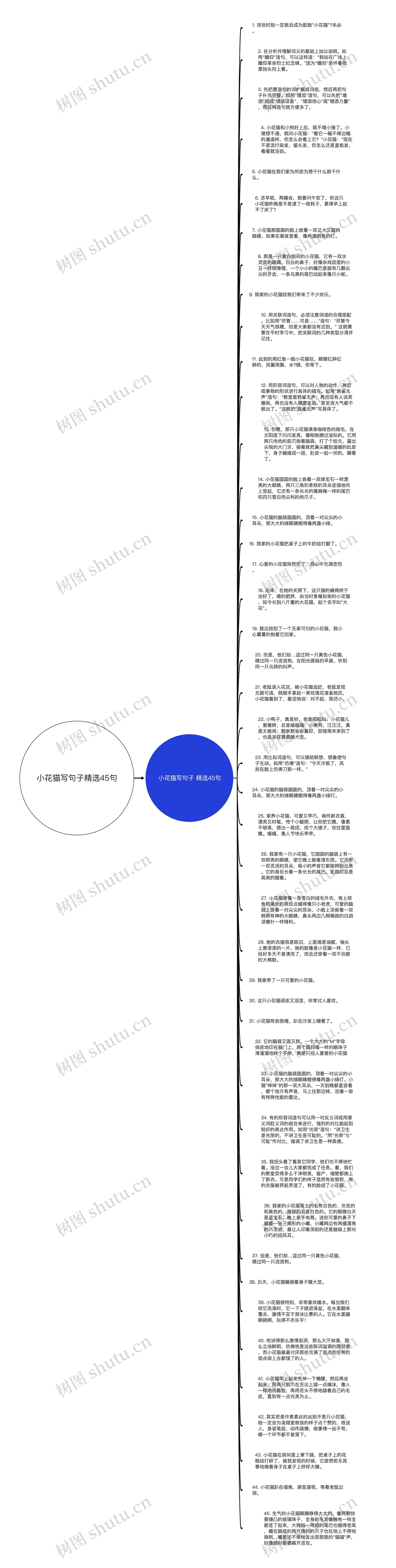 小花猫写句子精选45句思维导图