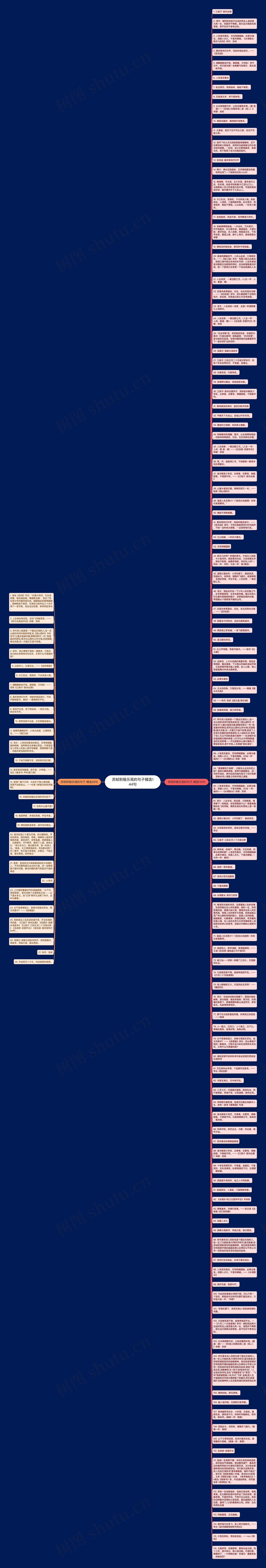 苏轼积极乐观的句子精选144句思维导图