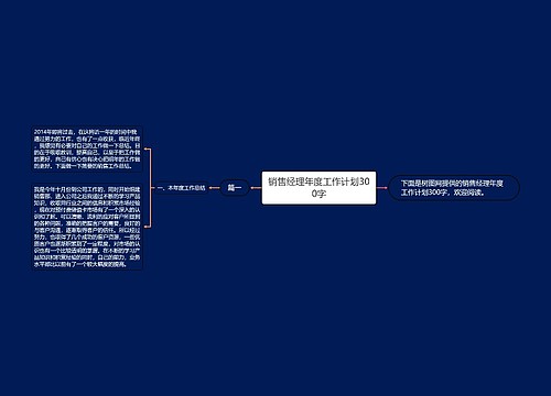 销售经理年度工作计划300字