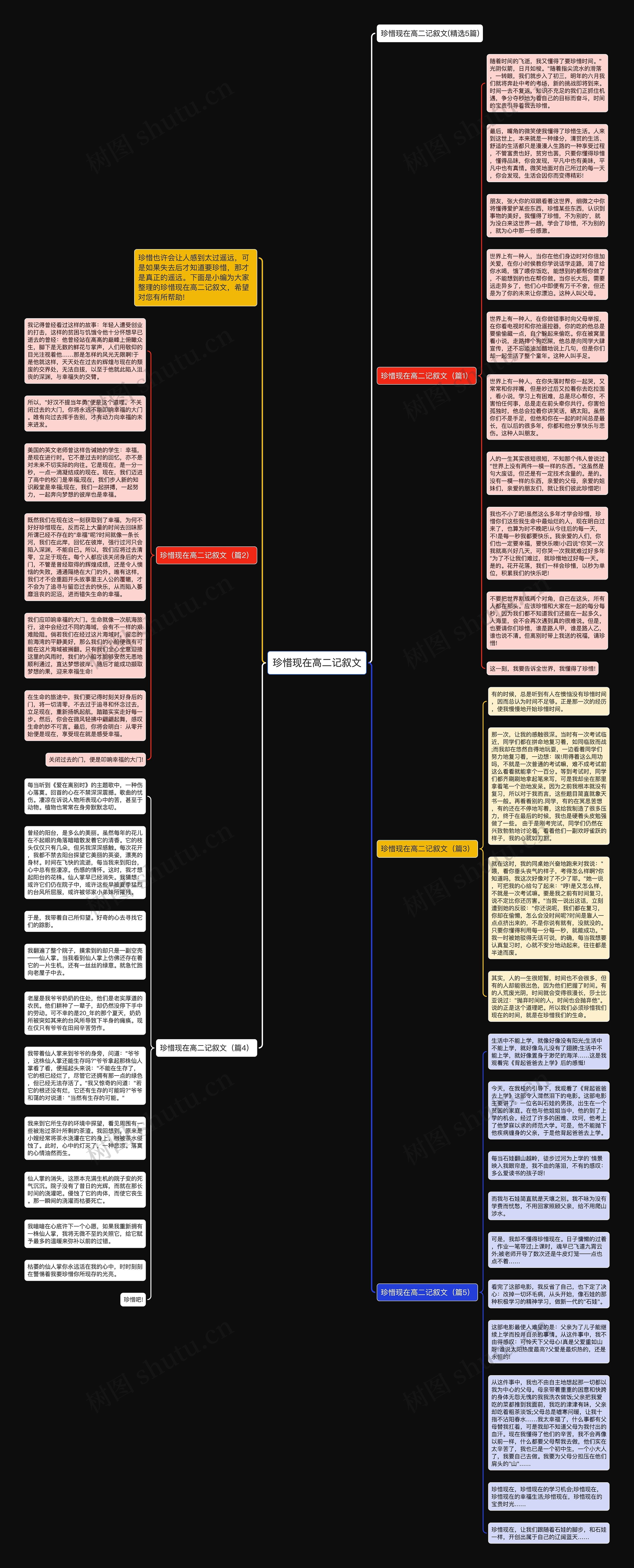 珍惜现在高二记叙文思维导图