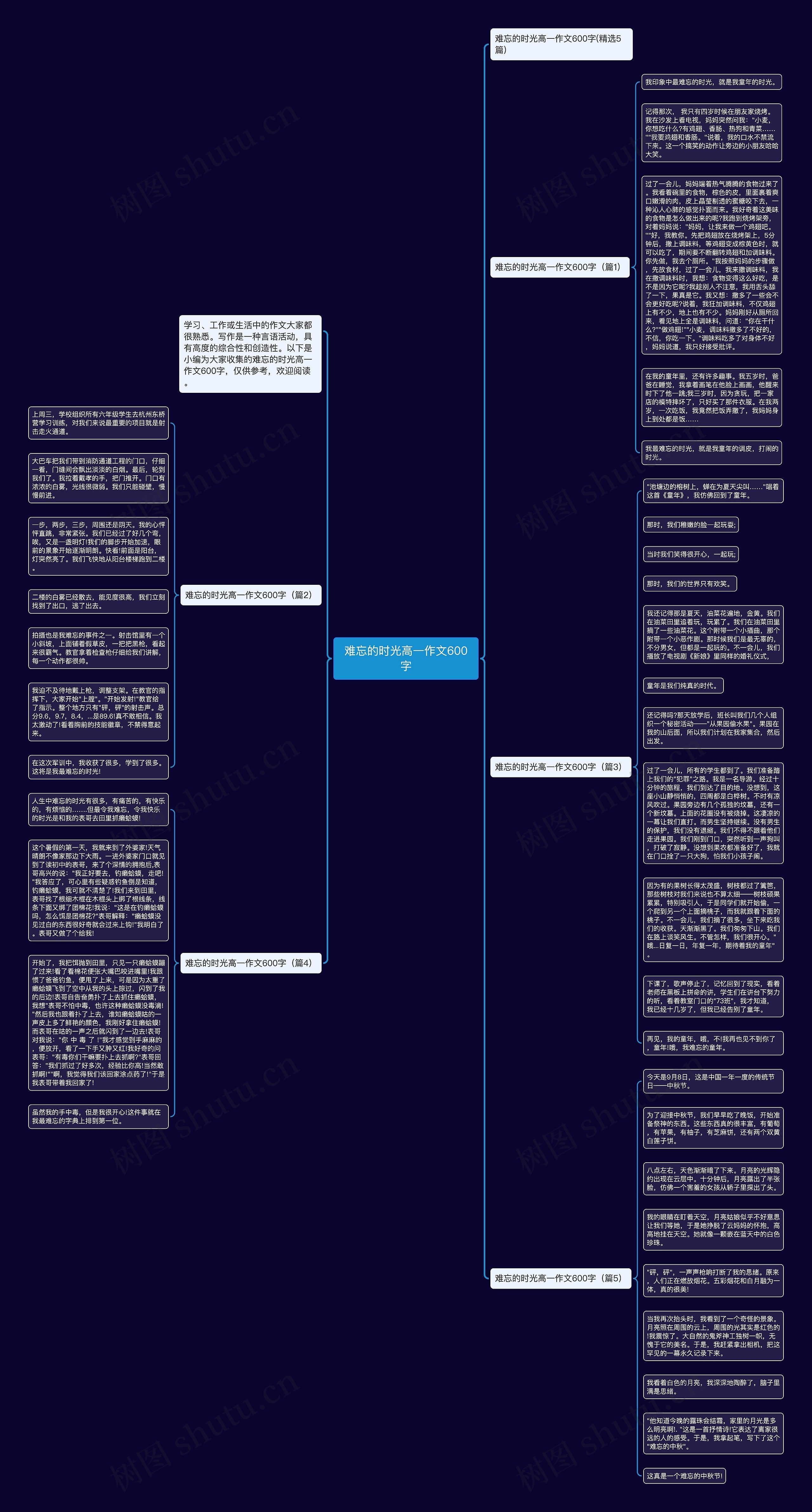 难忘的时光高一作文600字思维导图