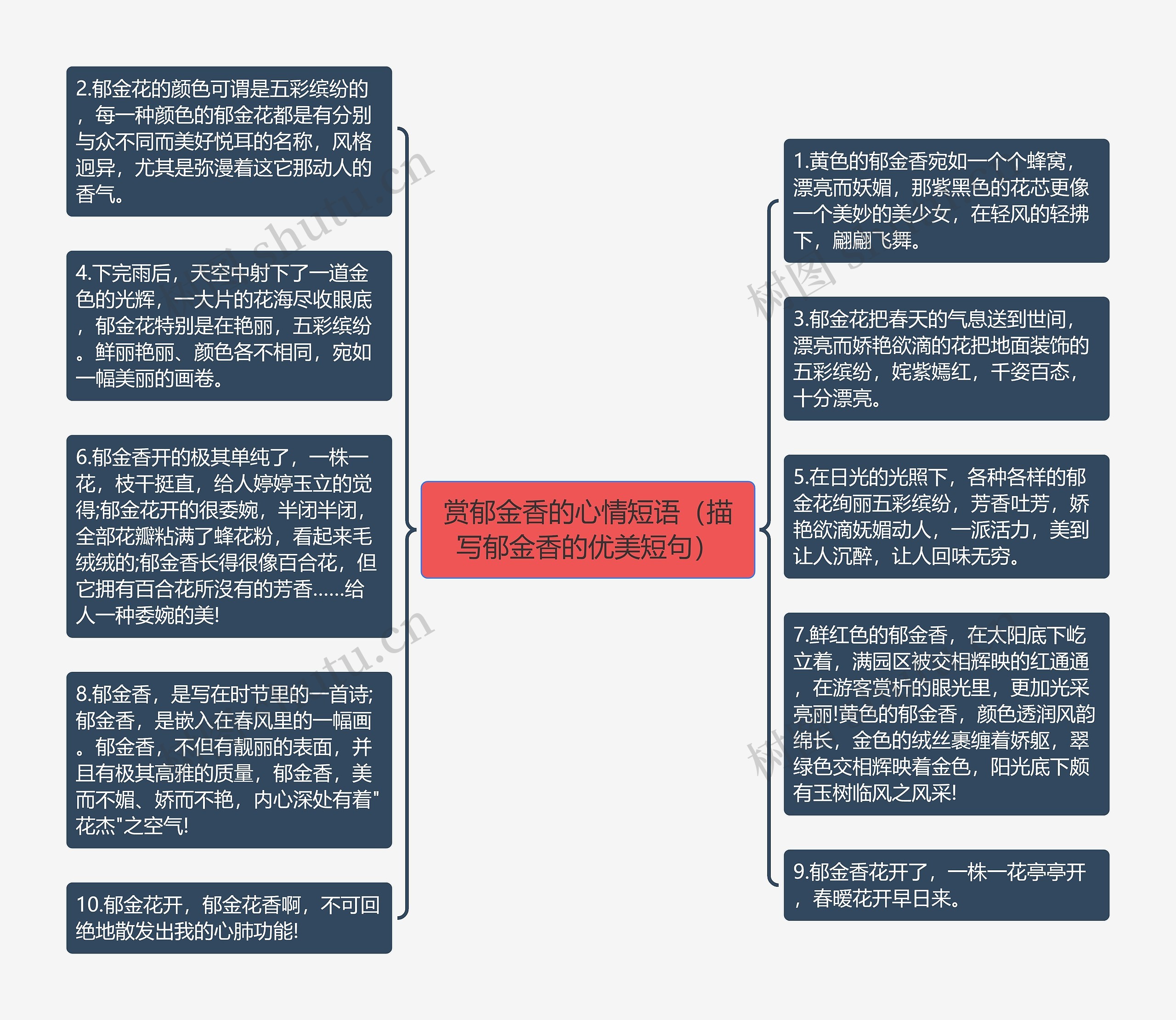 赏郁金香的心情短语（描写郁金香的优美短句）思维导图