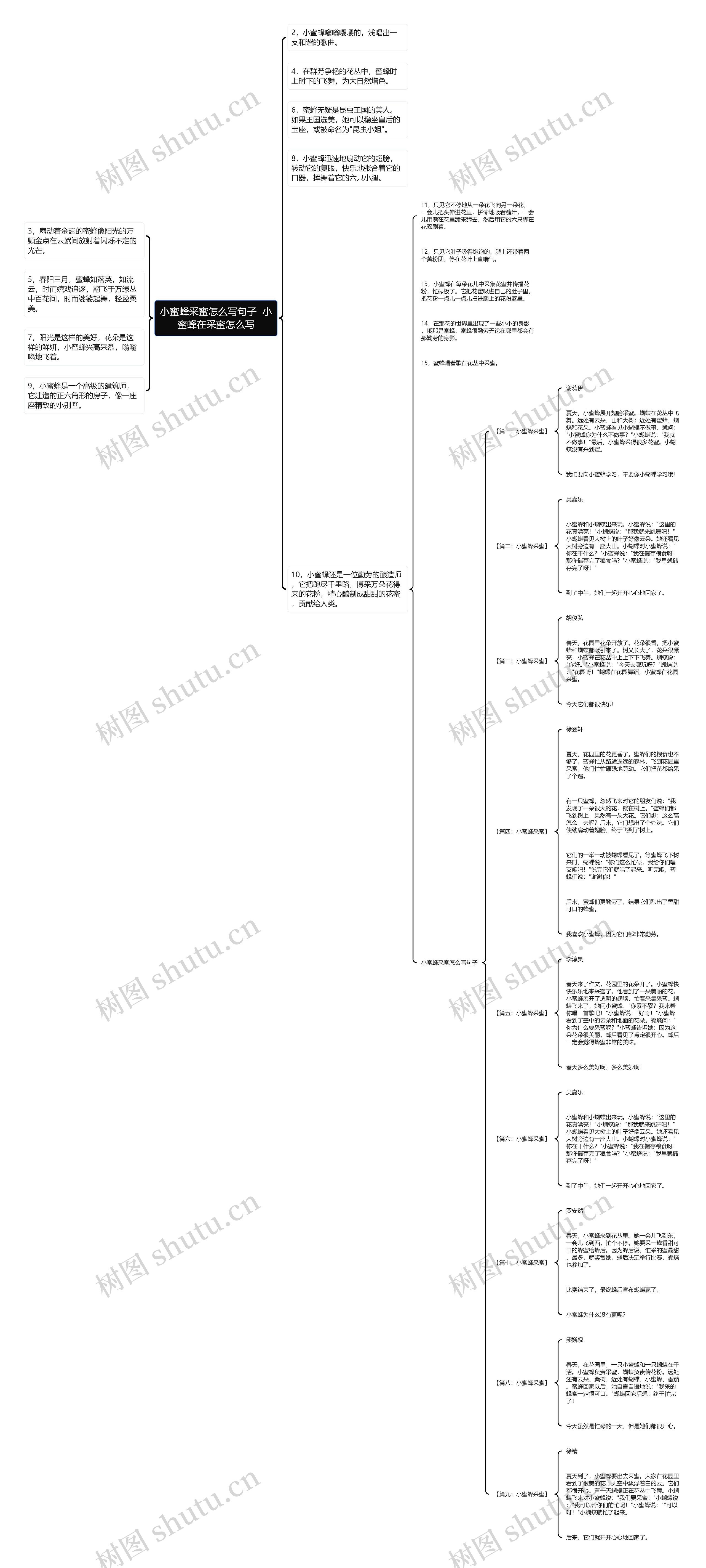 小蜜蜂采蜜怎么写句子  小蜜蜂在采蜜怎么写思维导图