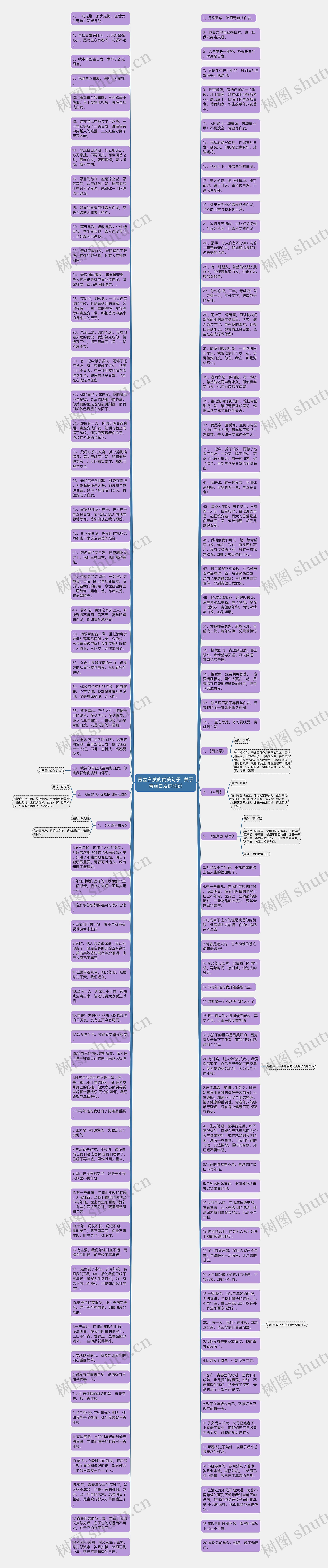 青丝白发的优美句子  关于青丝白发的说说思维导图