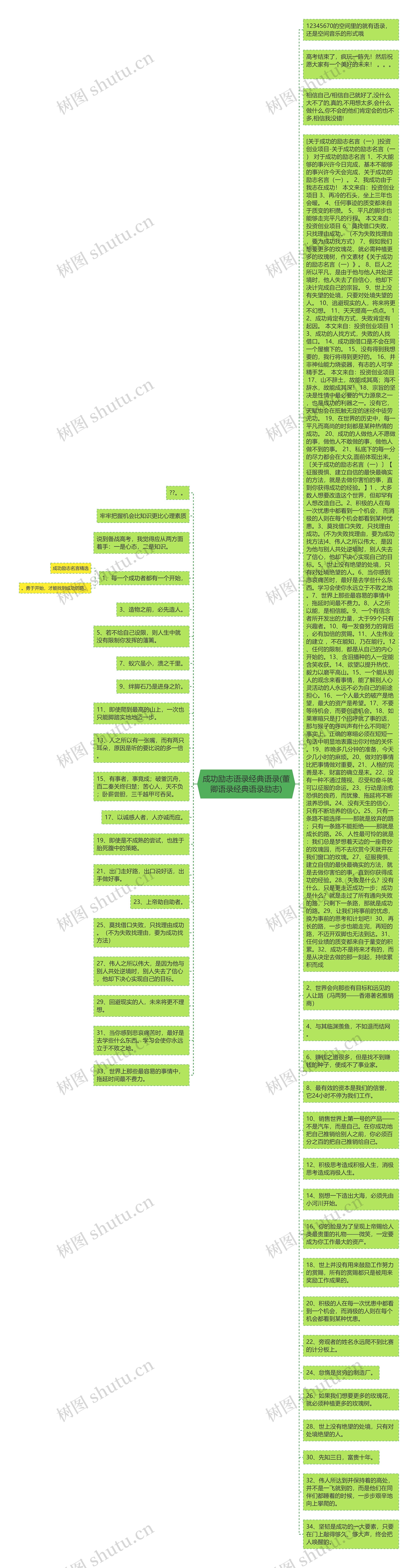 成功励志语录经典语录(董卿语录经典语录励志)思维导图