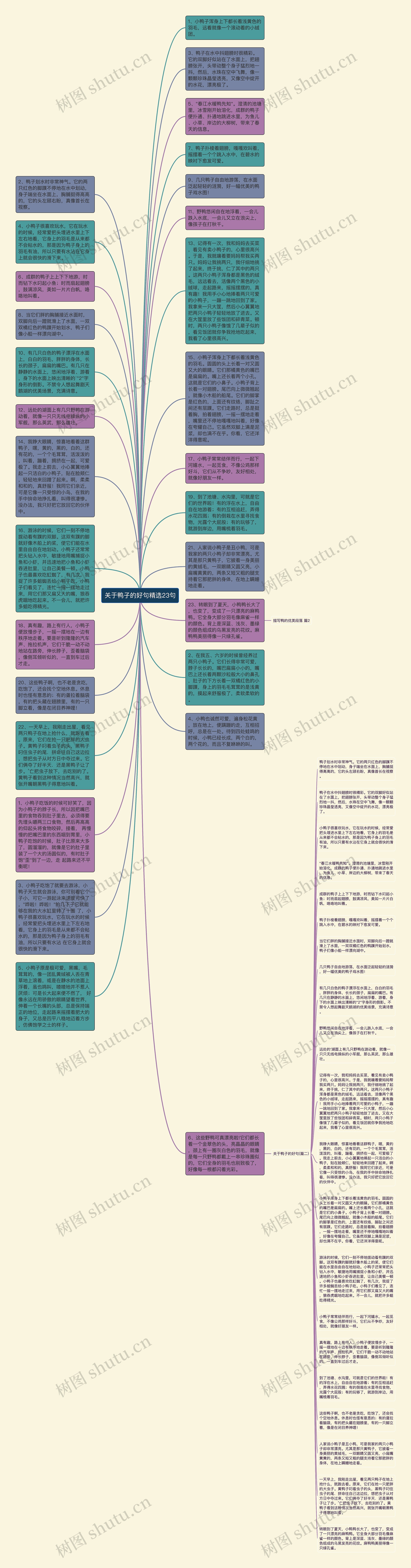 关于鸭子的好句精选23句思维导图
