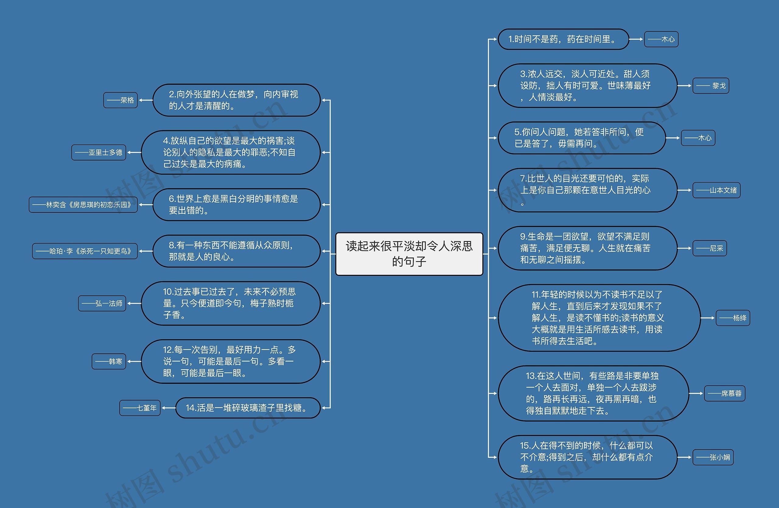 读起来很平淡却令人深思的句子思维导图