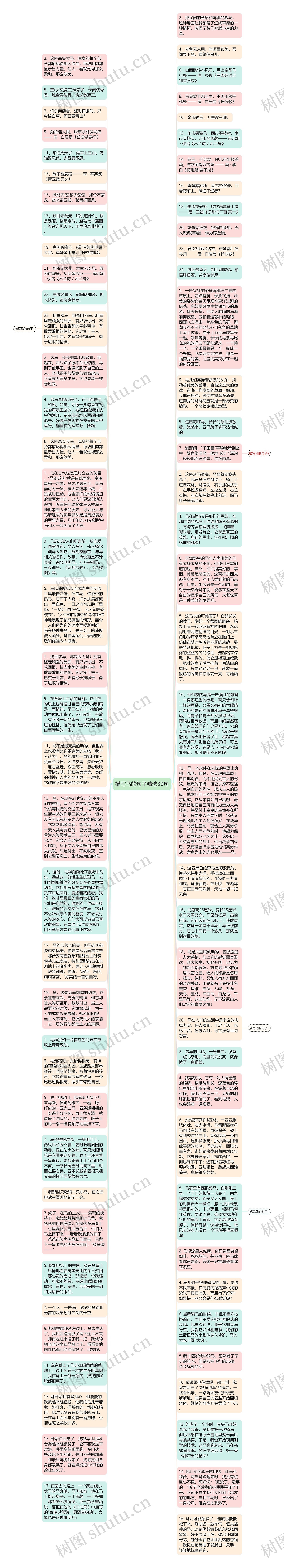 描写马的句子精选30句思维导图