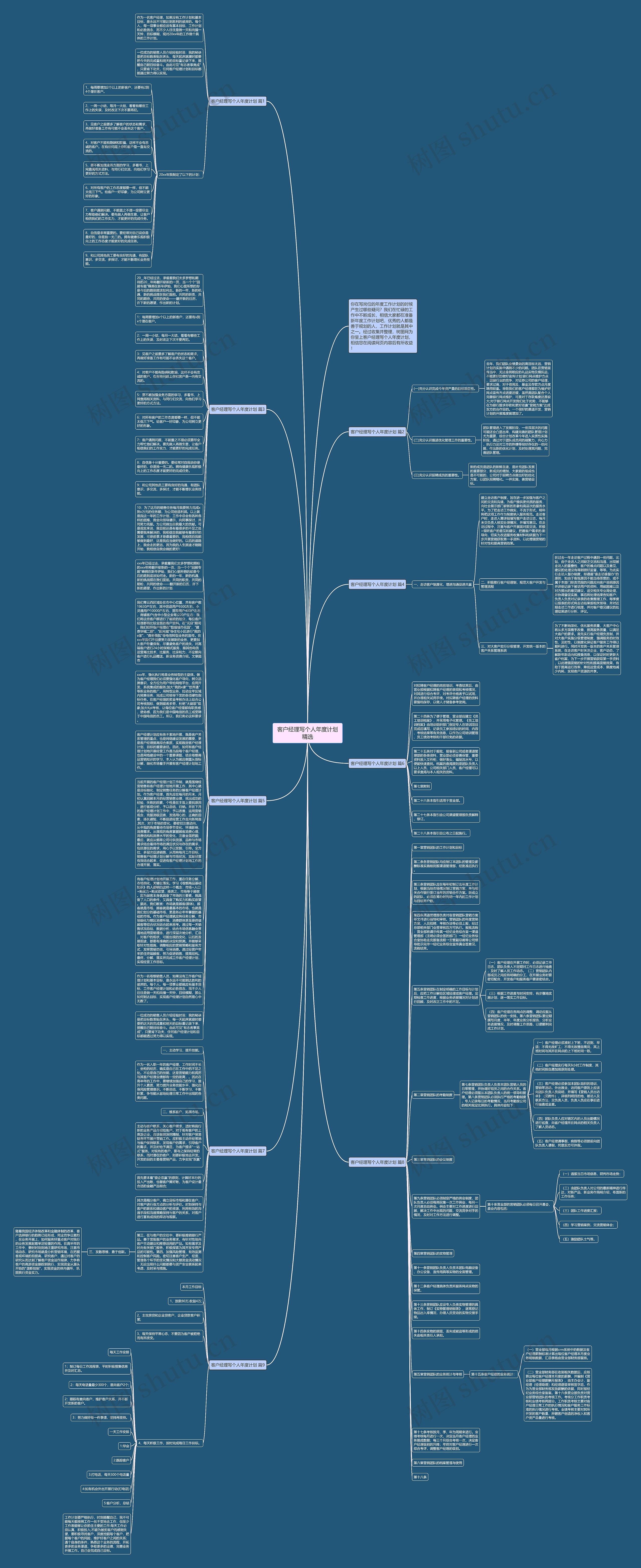客户经理写个人年度计划精选思维导图