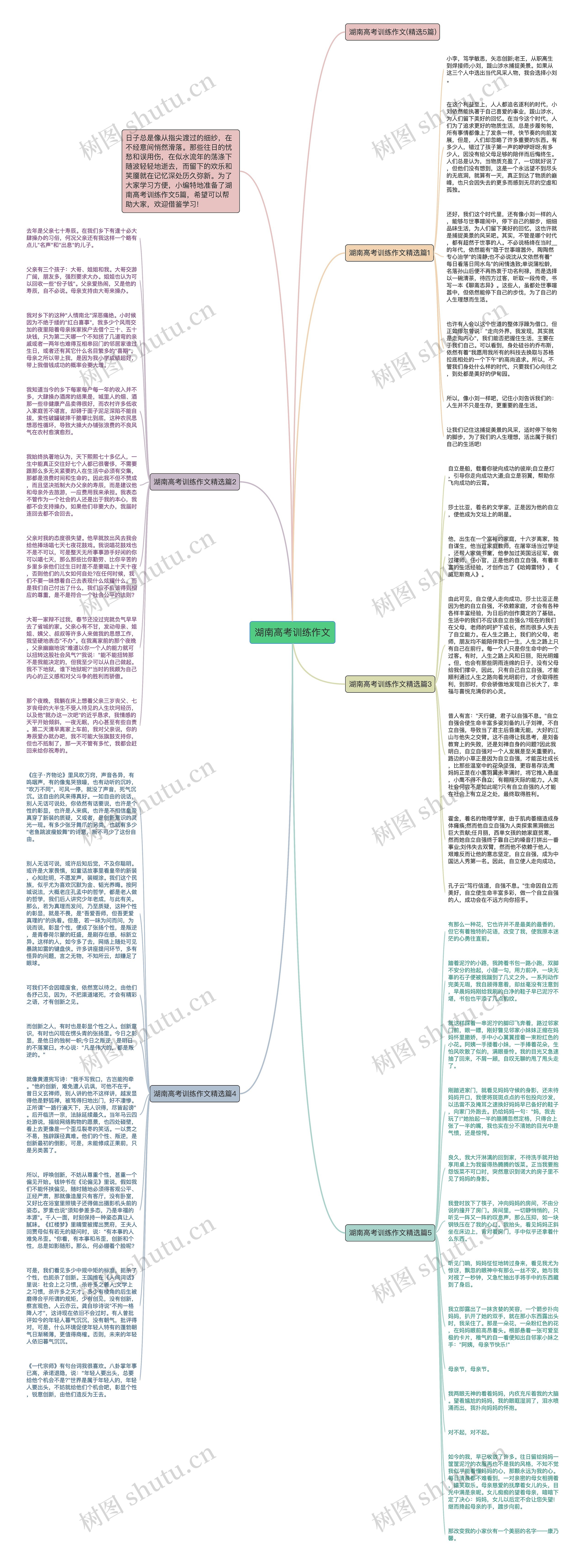 湖南高考训练作文思维导图