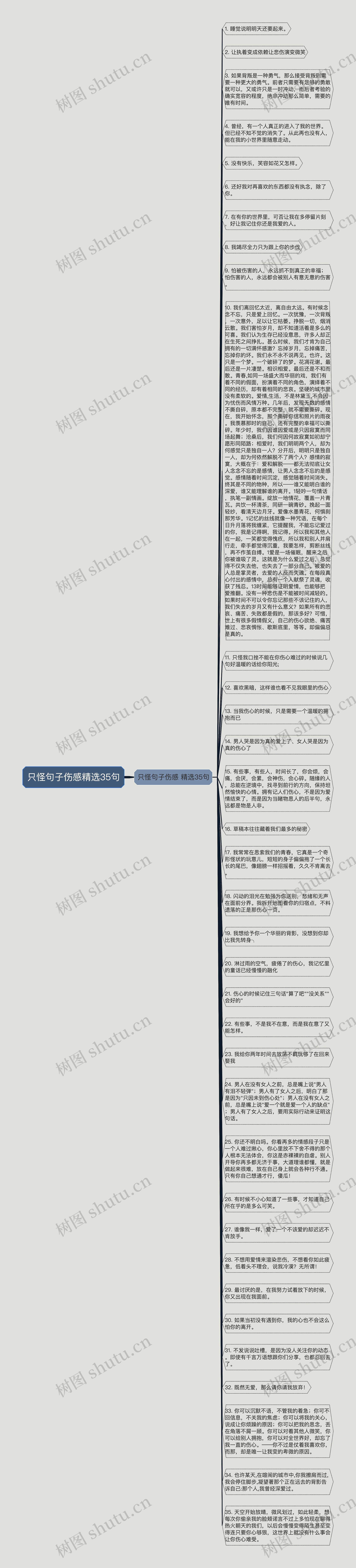 只怪句子伤感精选35句思维导图